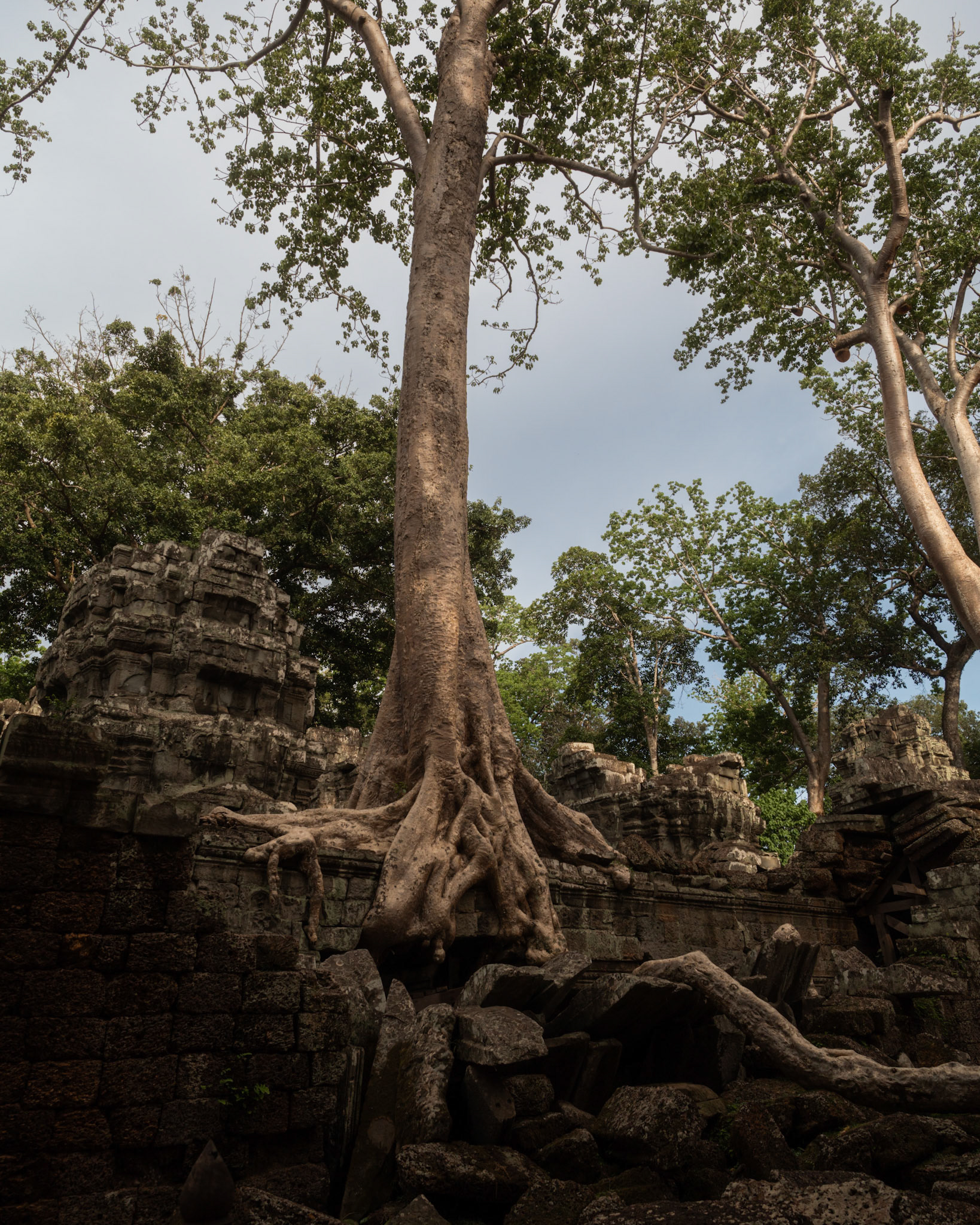 Ta Prohm