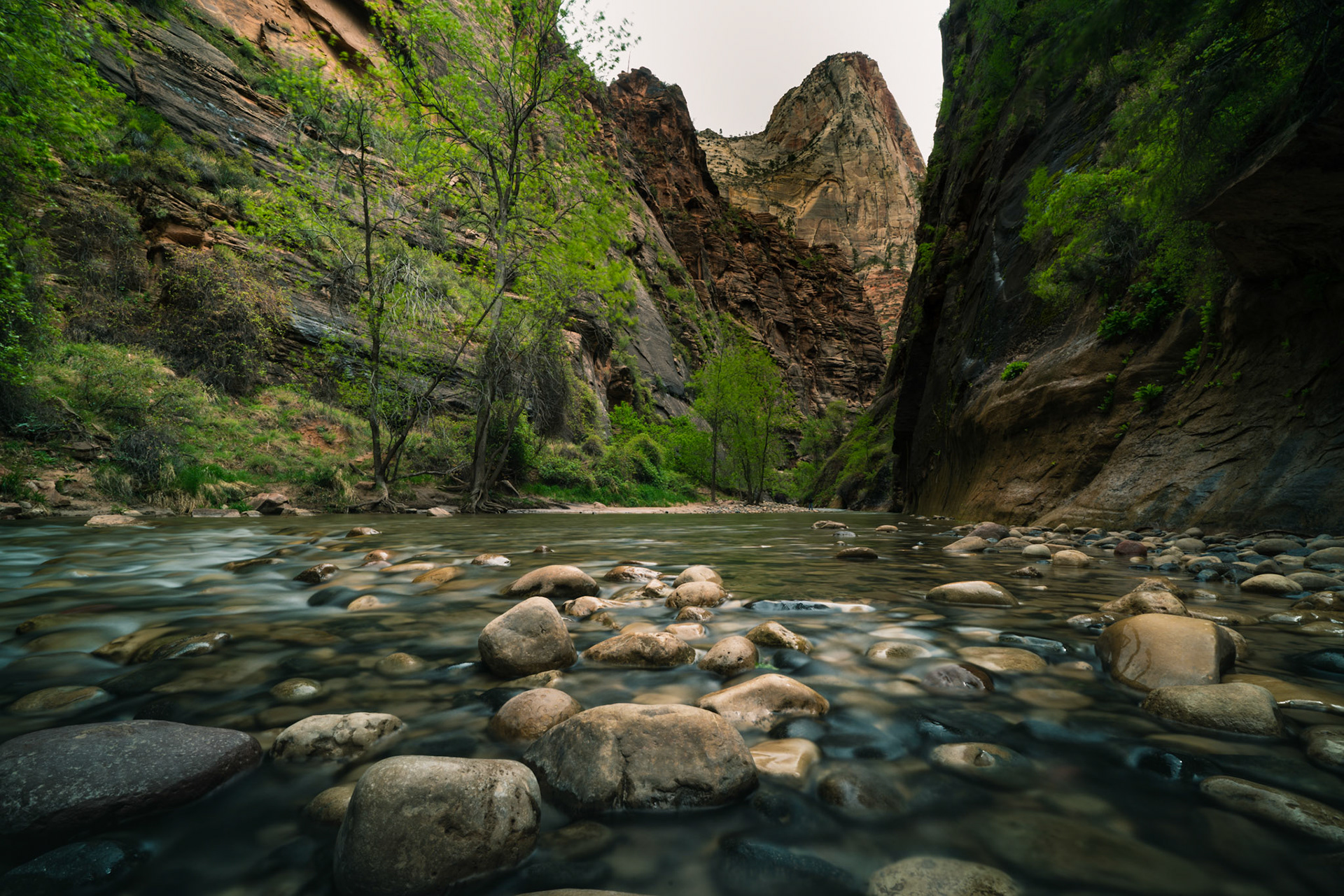 Zion National Park 2018