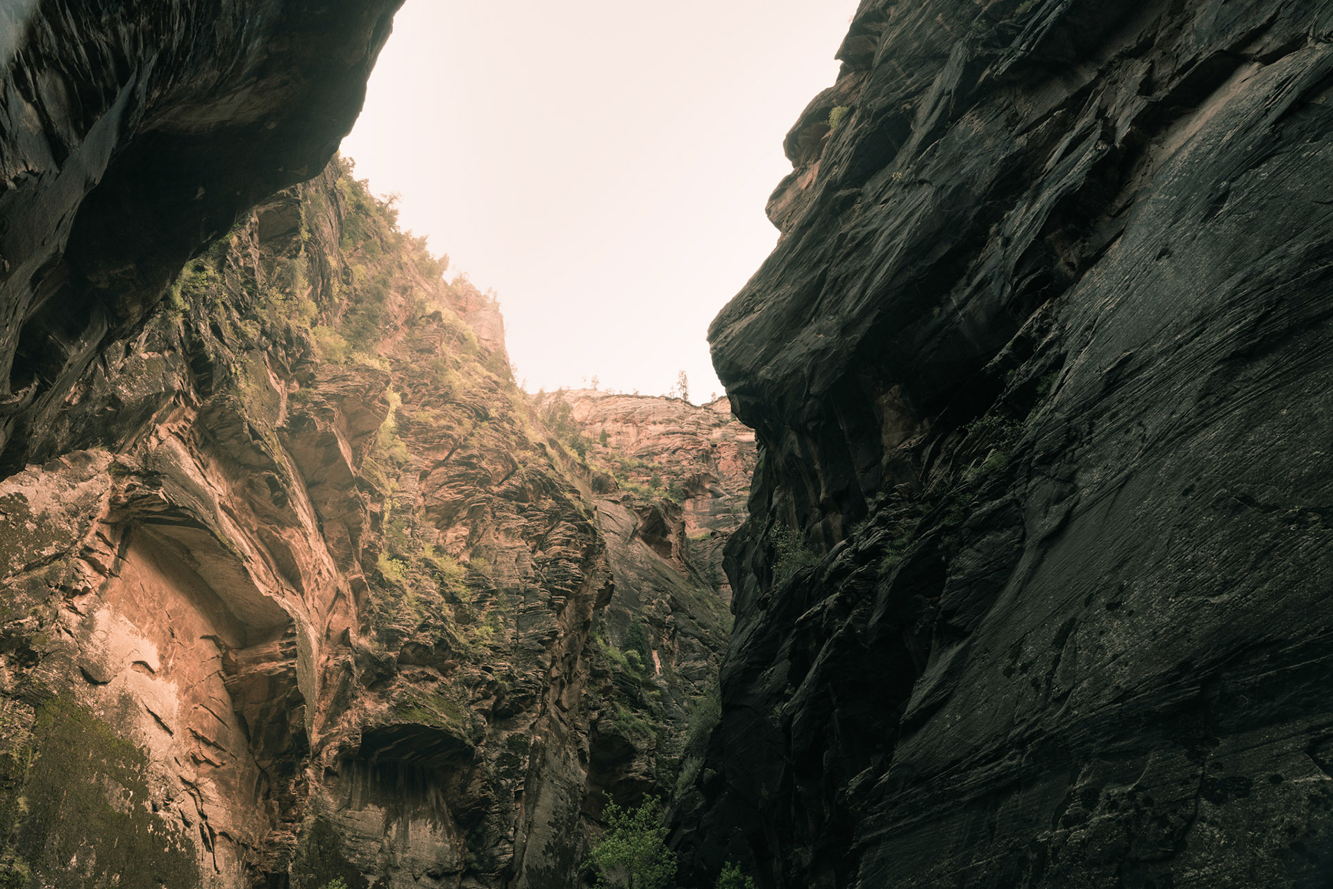 Zion National Park 2018