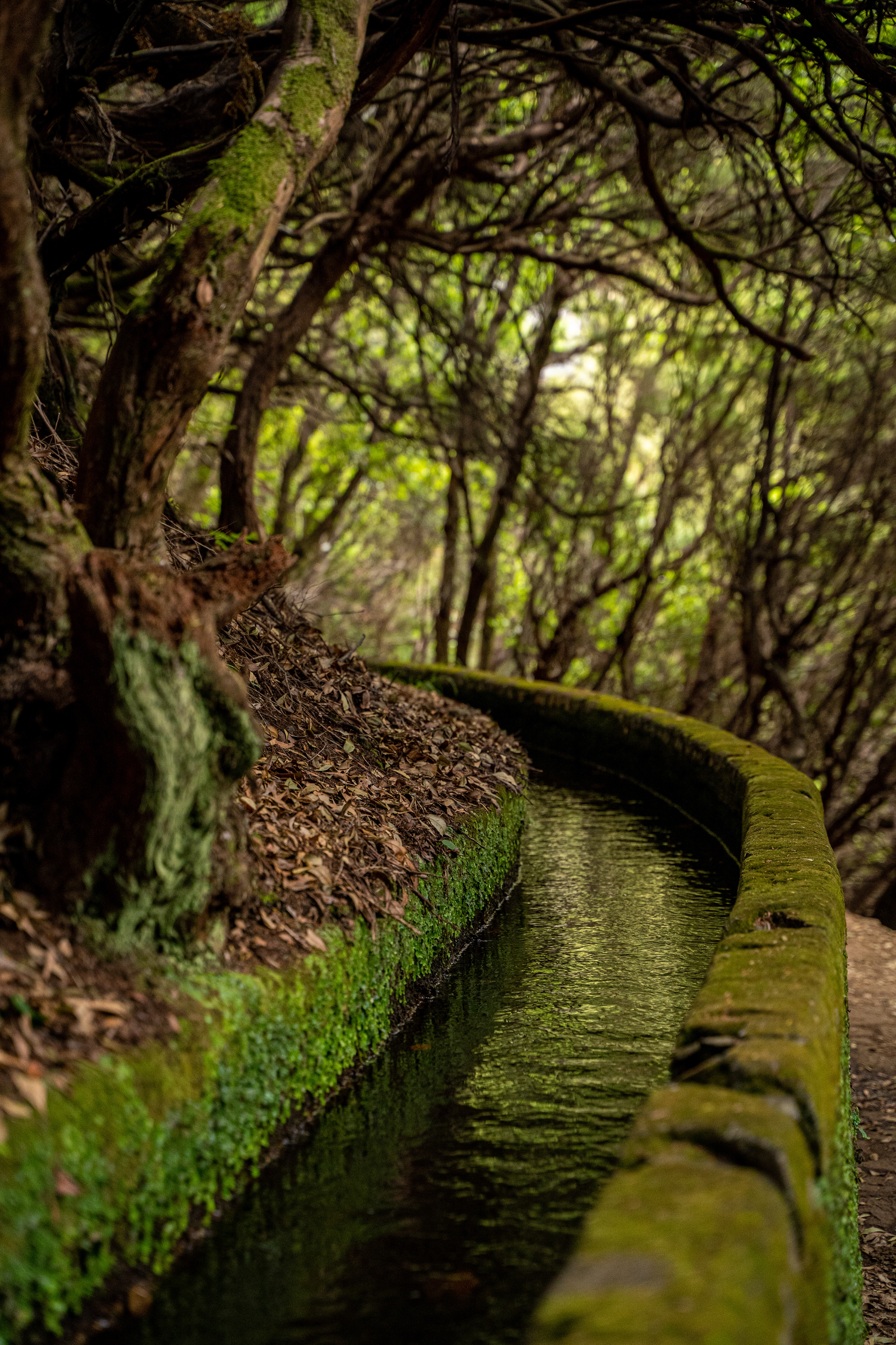 Madeira