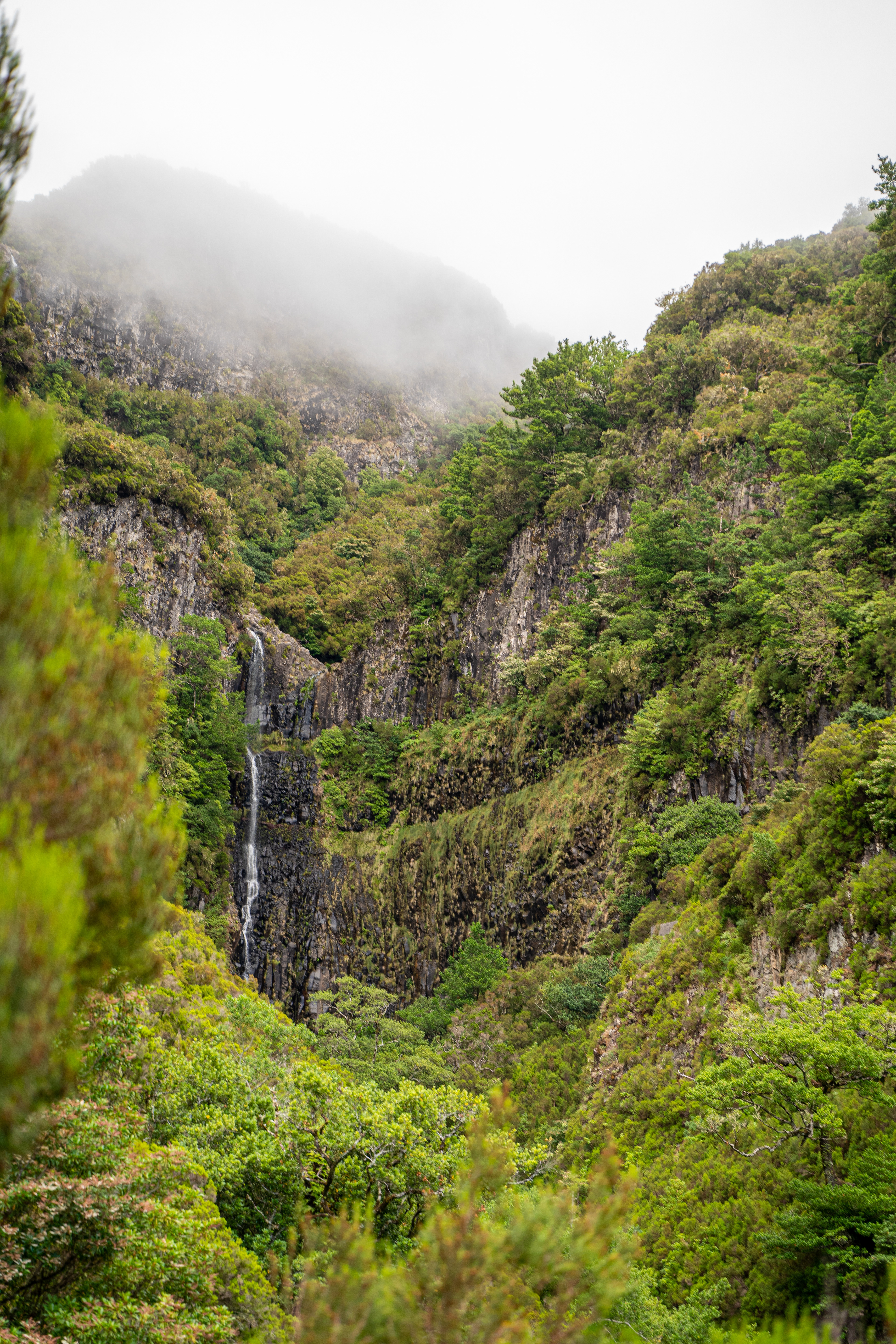 Madeira