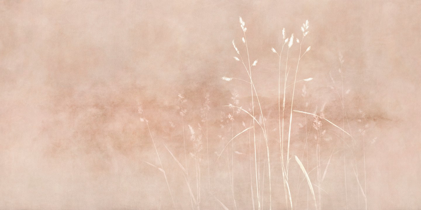 Aviora, Wall Art Design