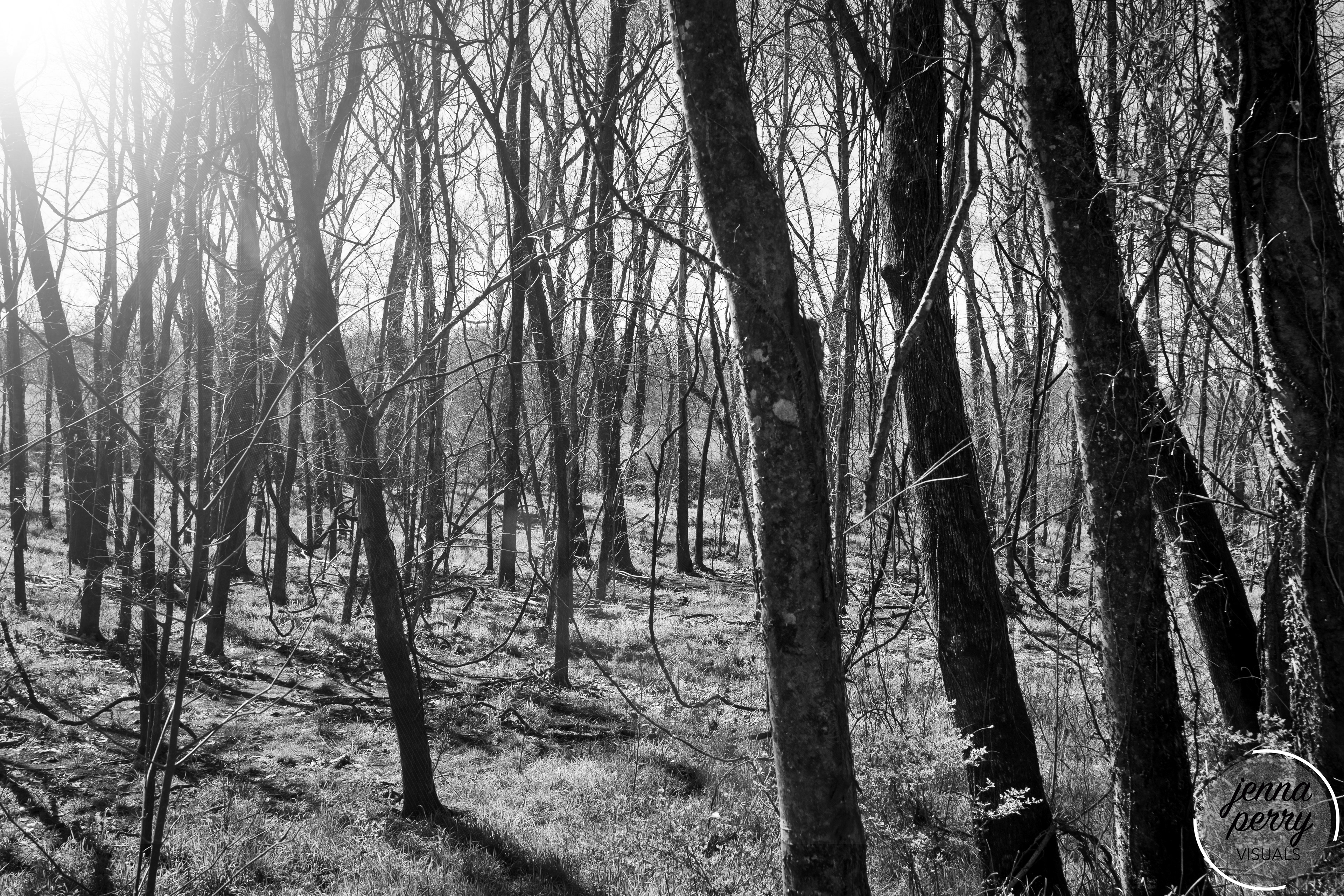 Hidden Lake State Park, Nashville, TN
