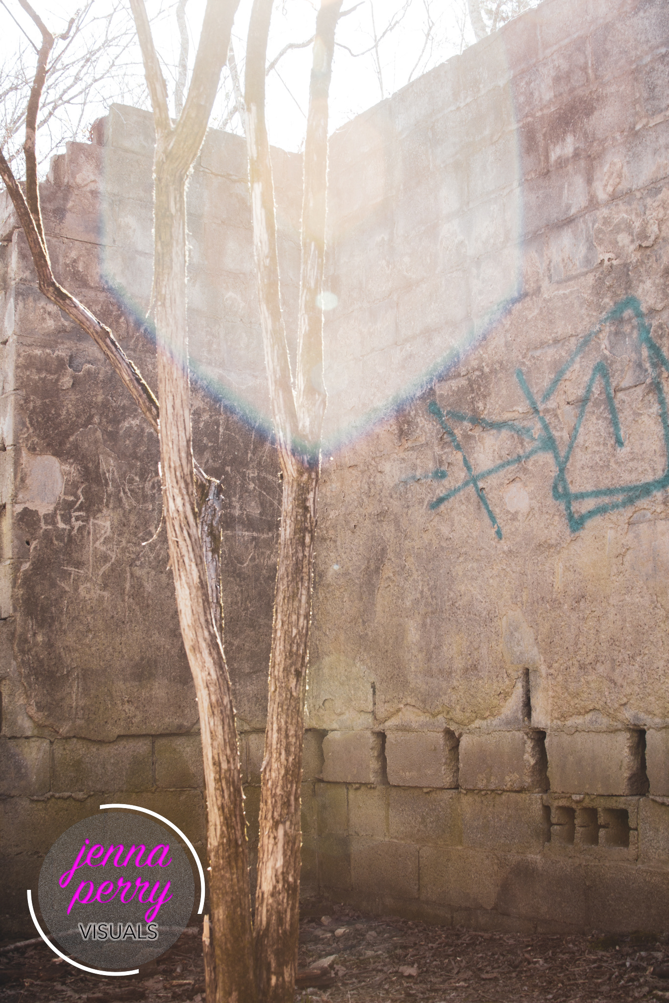 Nature reclaims and abandoned building, Hidden Lake State Park, March 2022