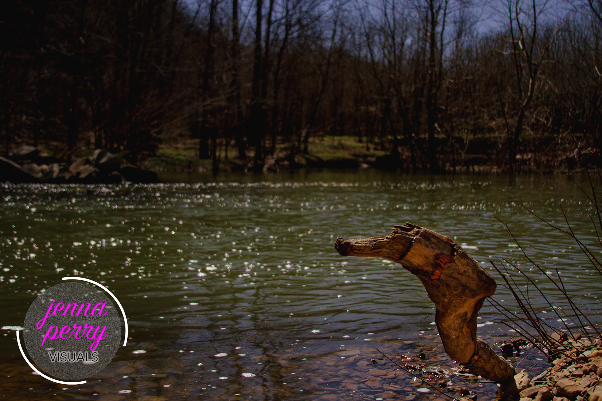 Narrows of the Harpeth State Park, March 2022