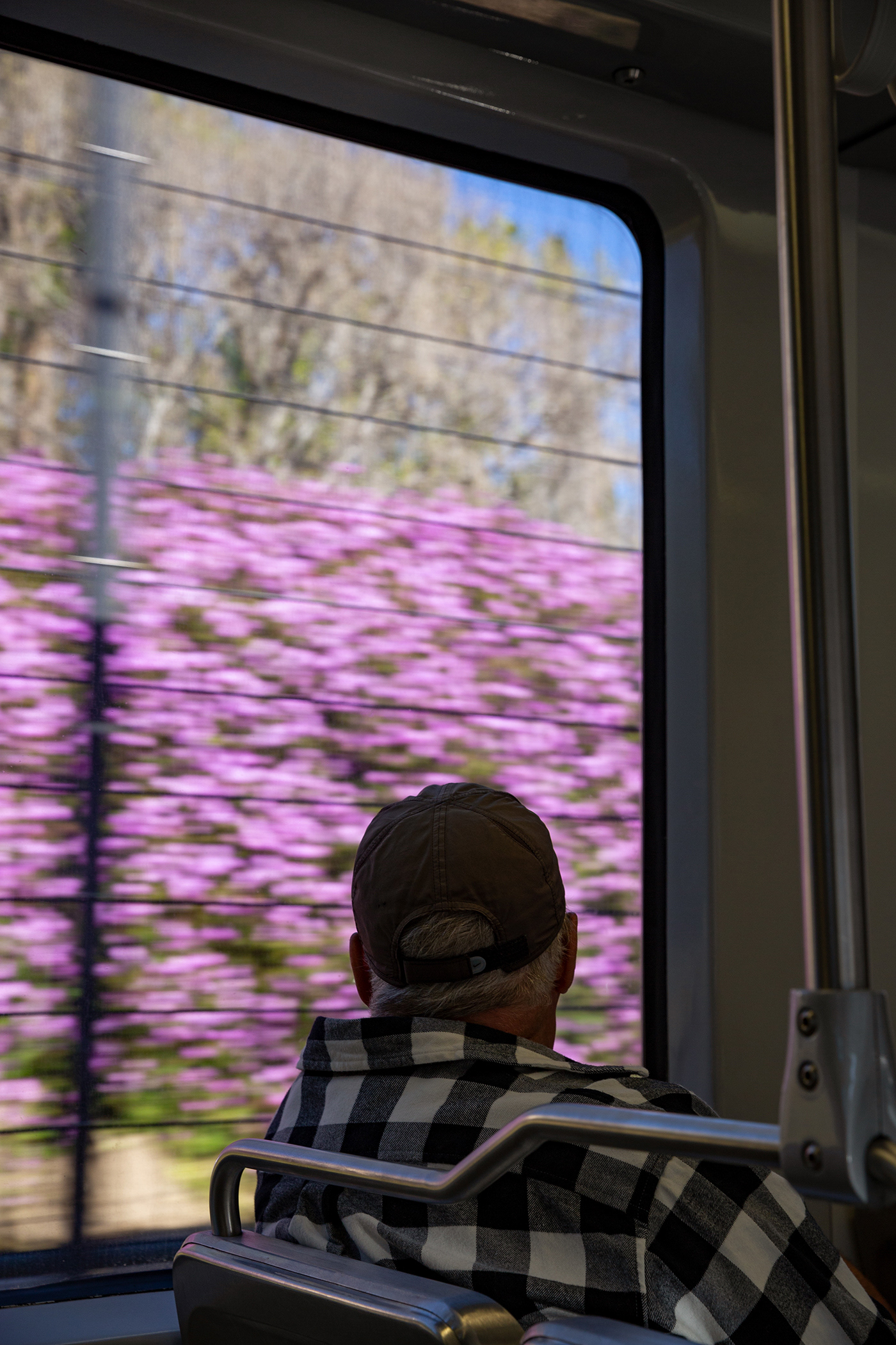 Light Rail Views 2023
