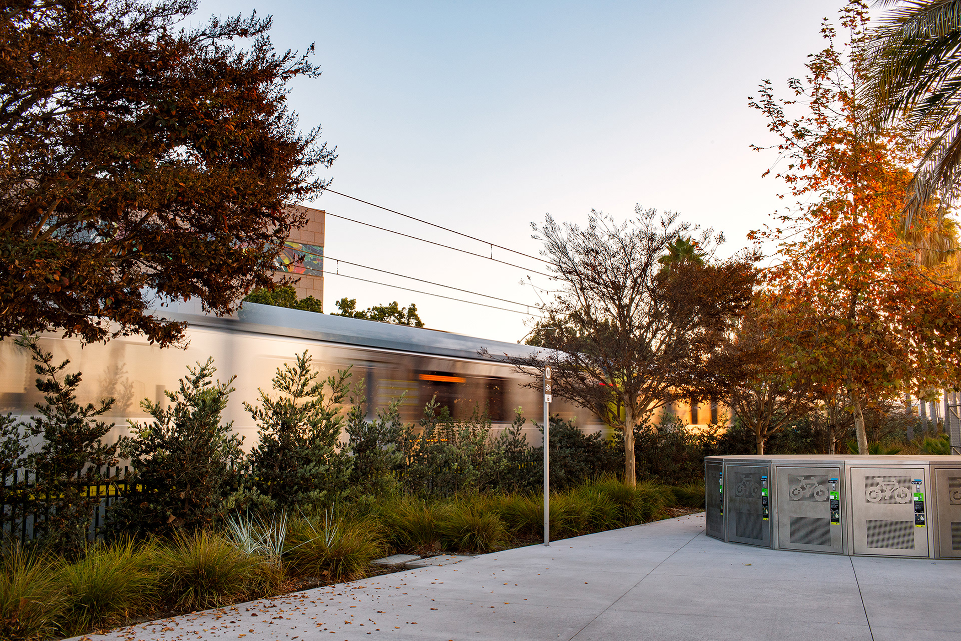 LA Metro Expo/Crenshaw Station Landscaping 2024