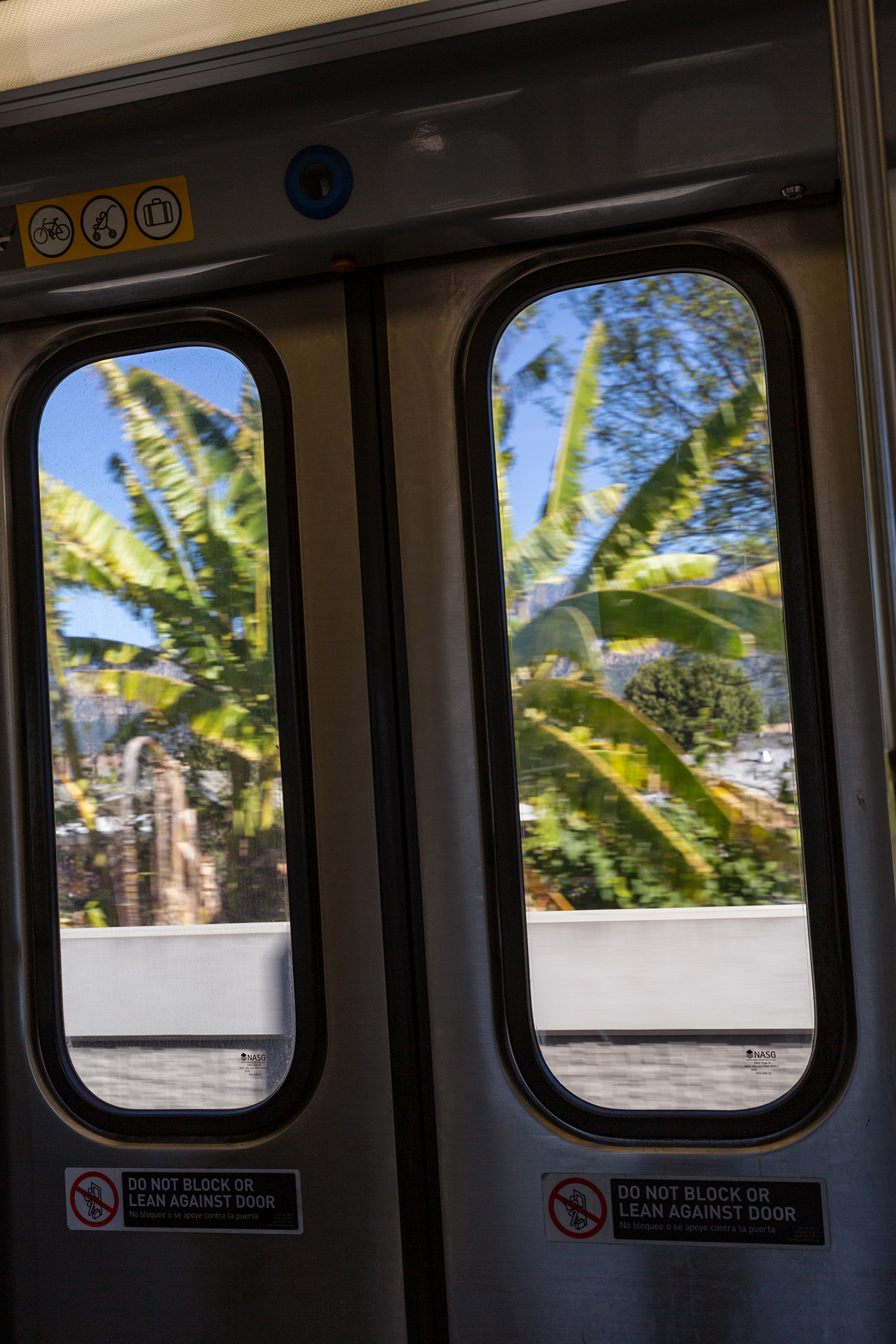 Light Rail Views 2023