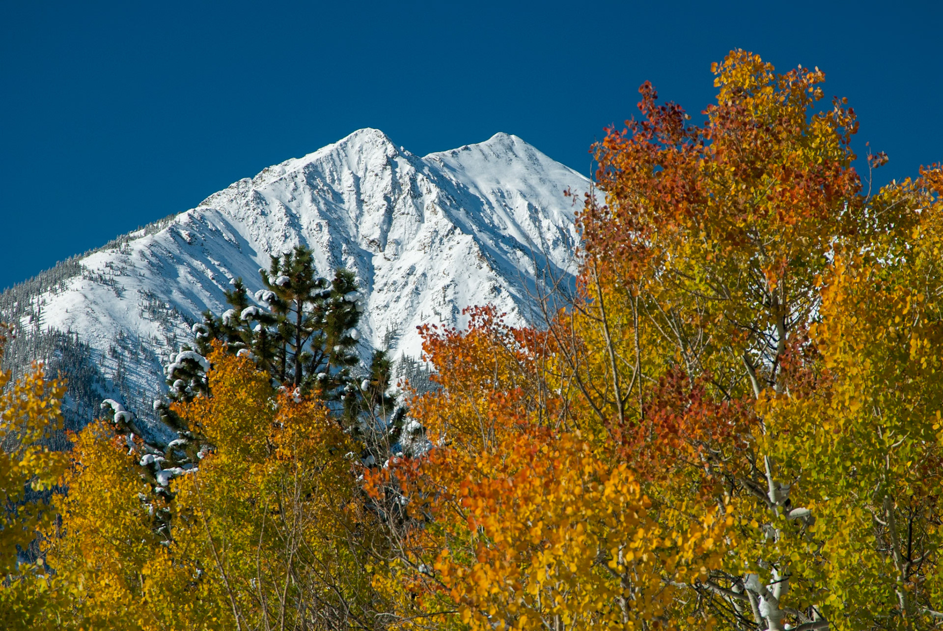 Just above Twin Lakes, CO