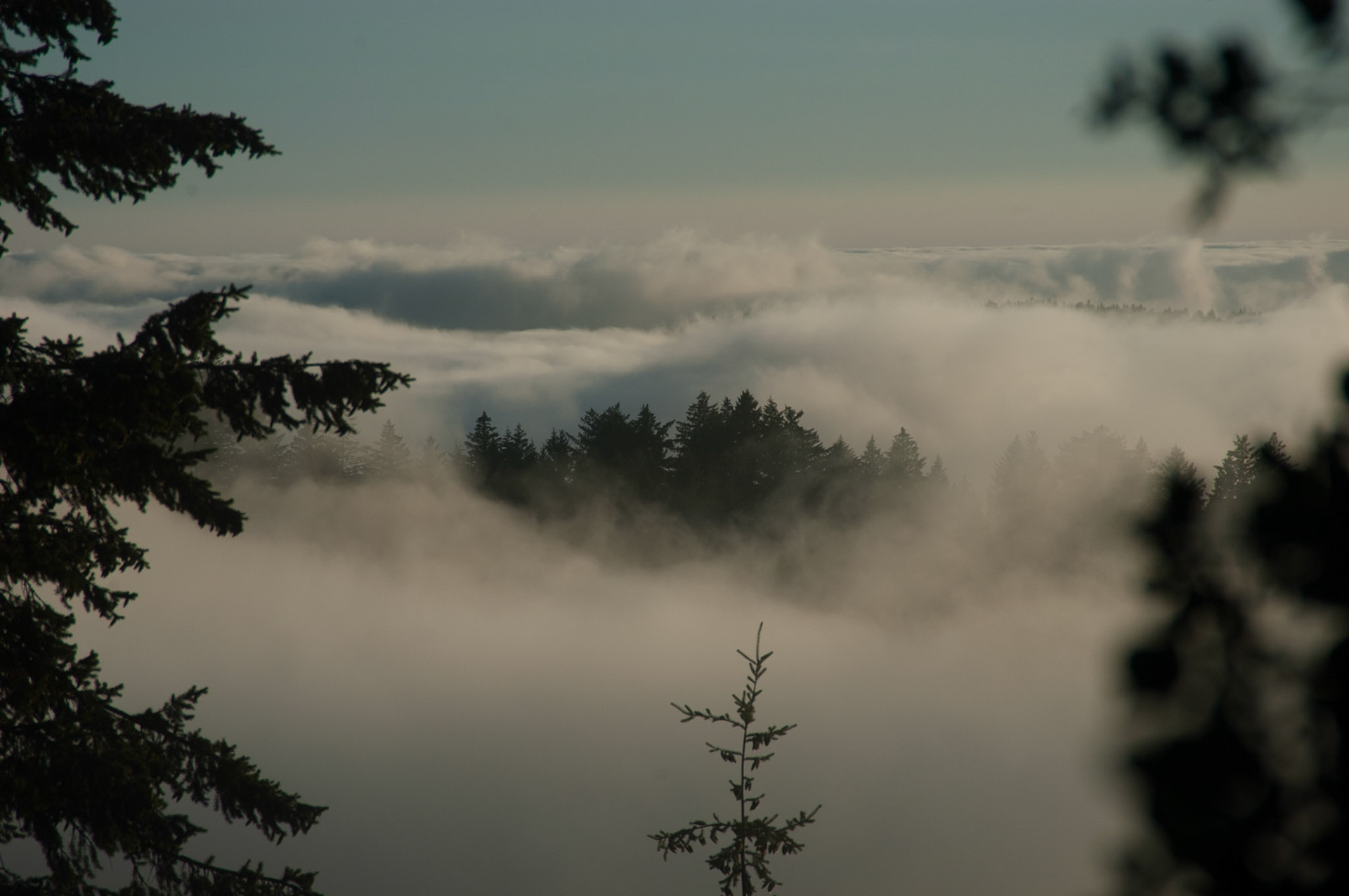 Near Big Basin Redwoods State Park