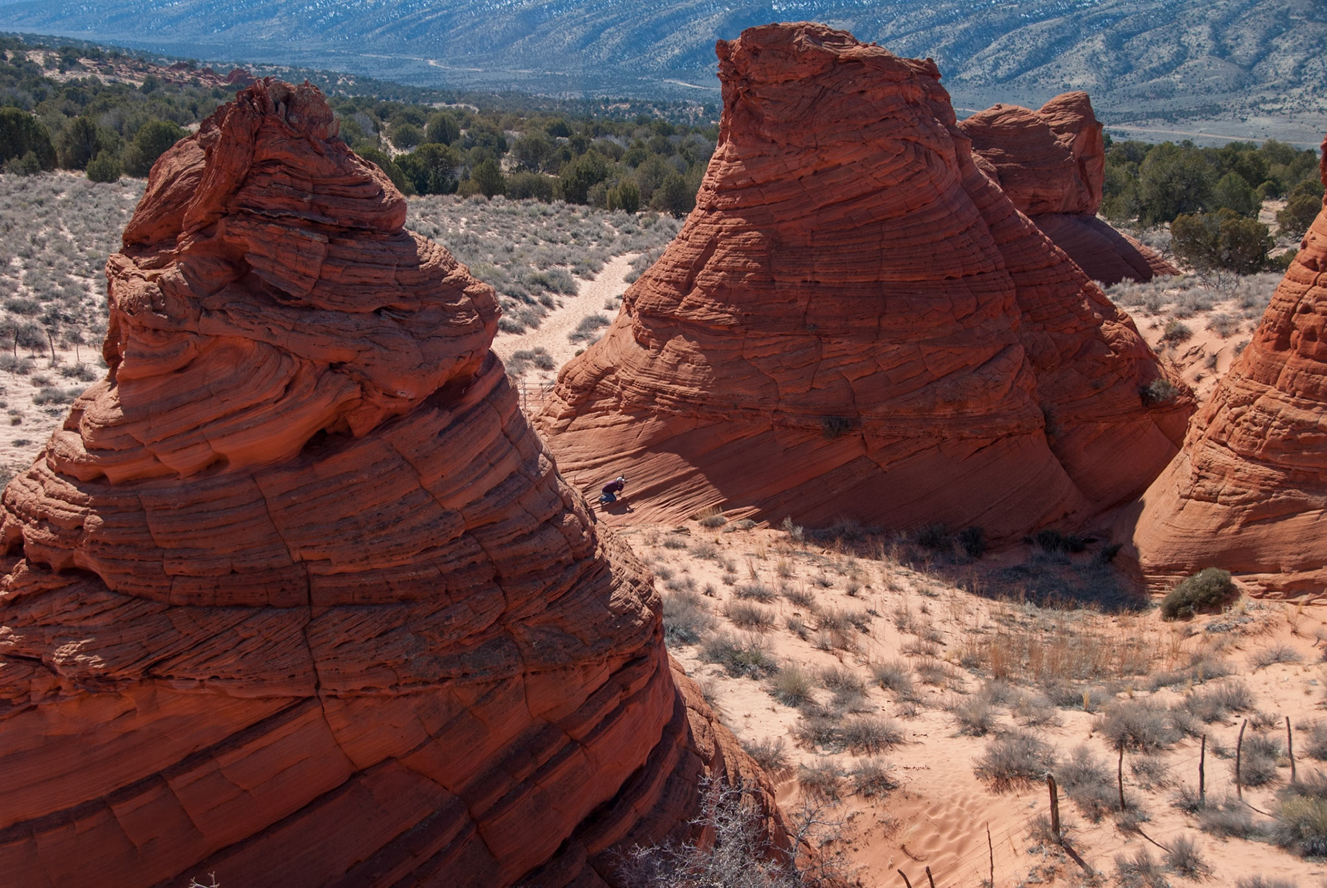 Southern Coyote Buttes, Vermillion Cliffs NP. See Gregg about dead center for sizing.