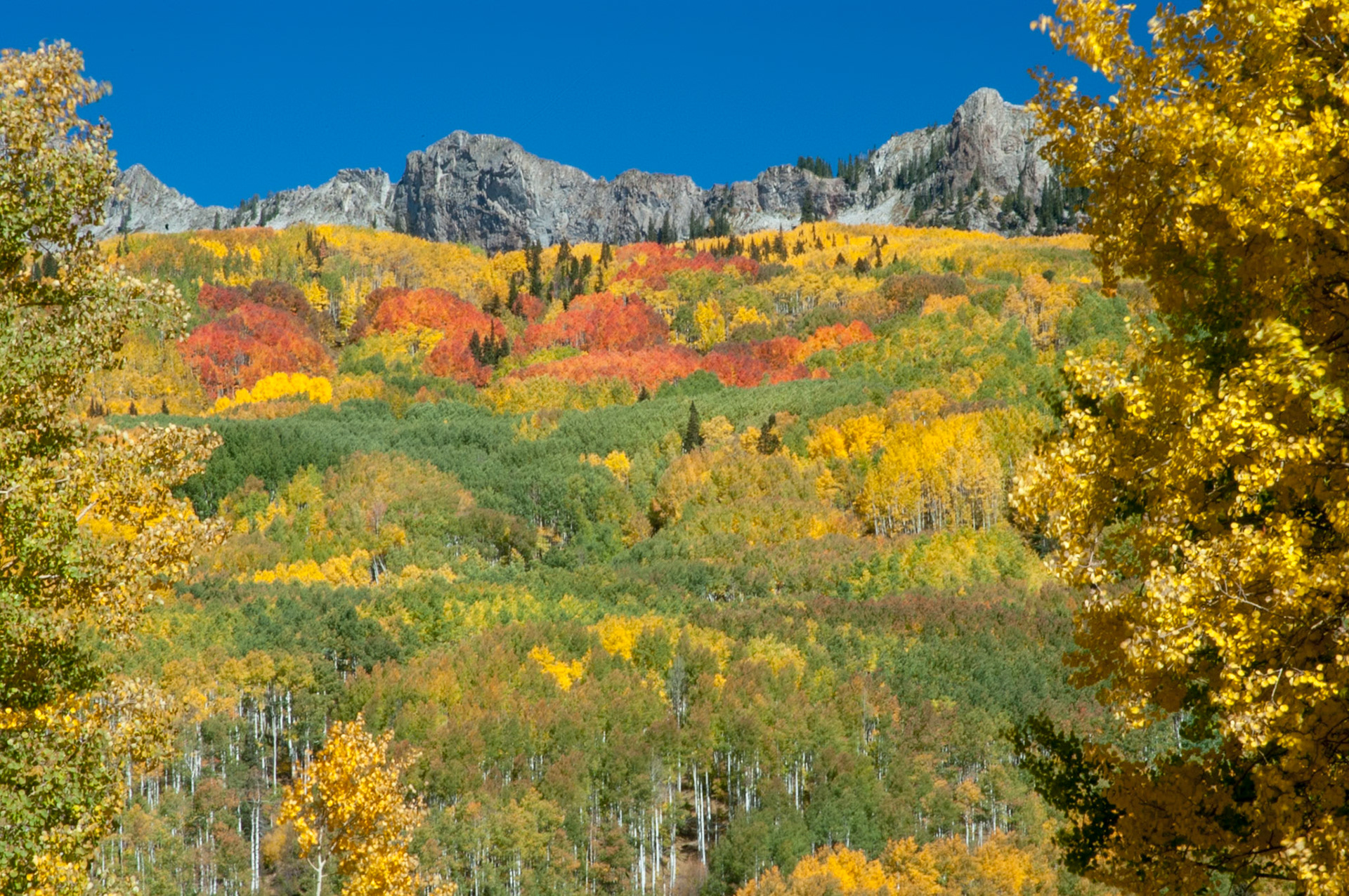 Kebler Pass