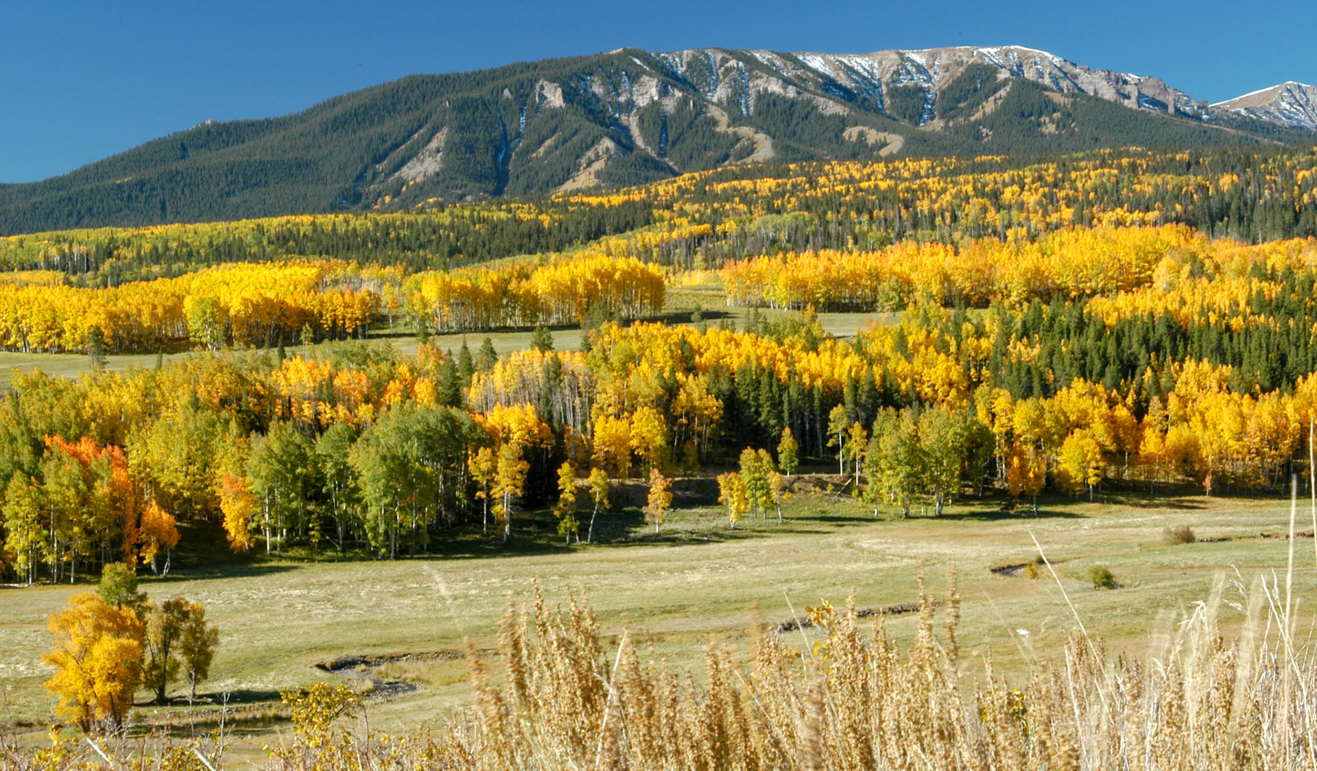 One of the valleys leading up to Crested Butte