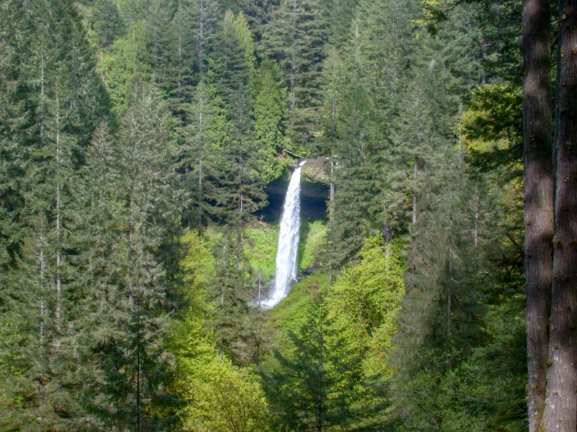 Silver Falls State Park