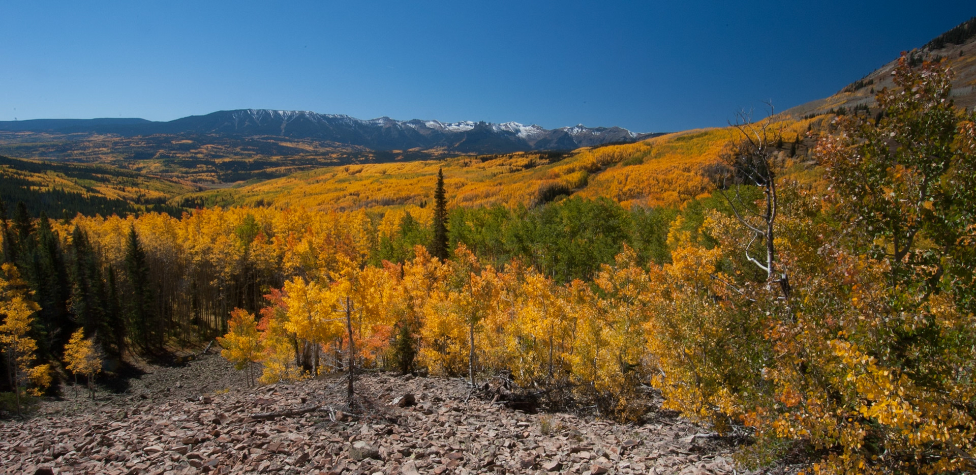 Fall in Colorado