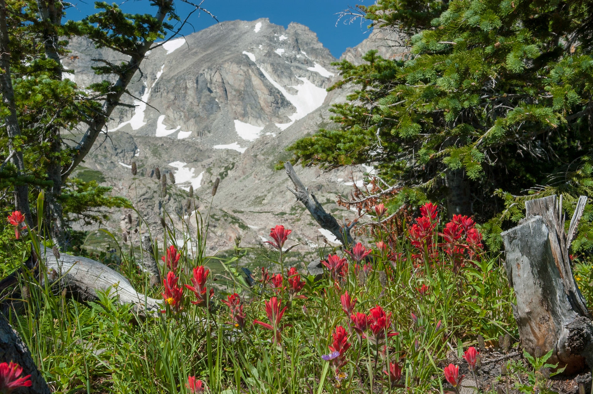 Indian Peaks over Lake Isabelle