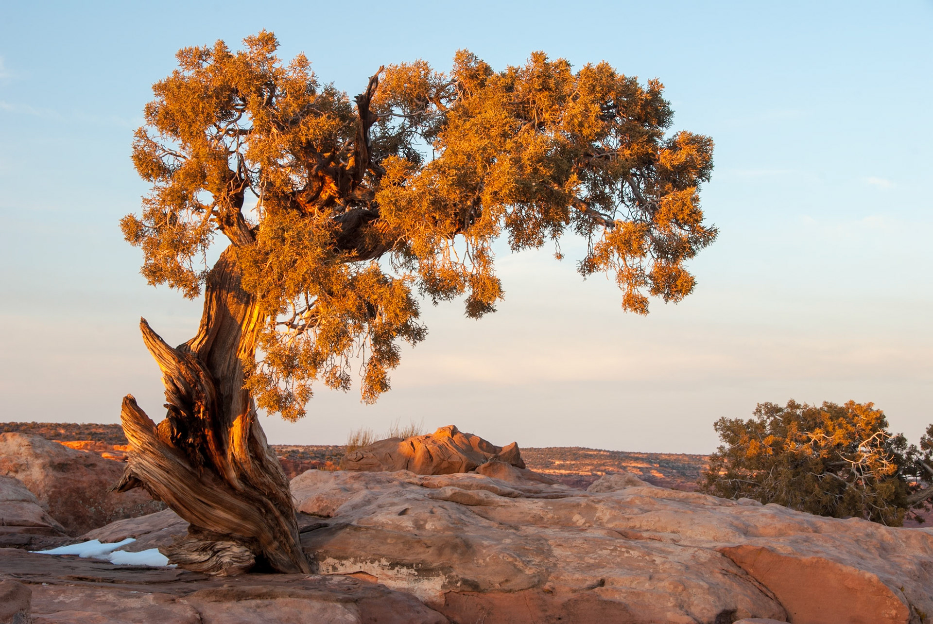 Arches National Park