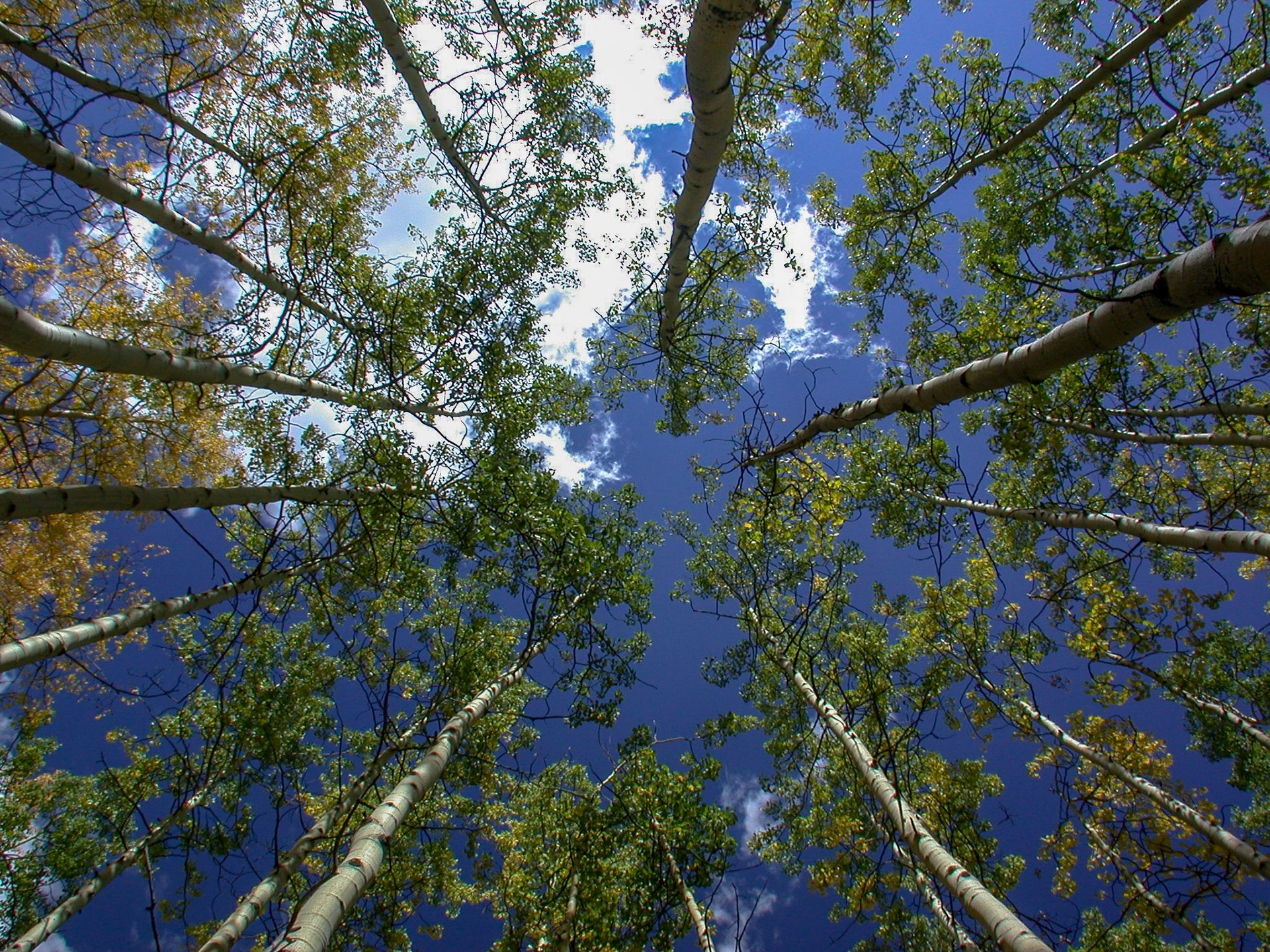 Playing with perspectives