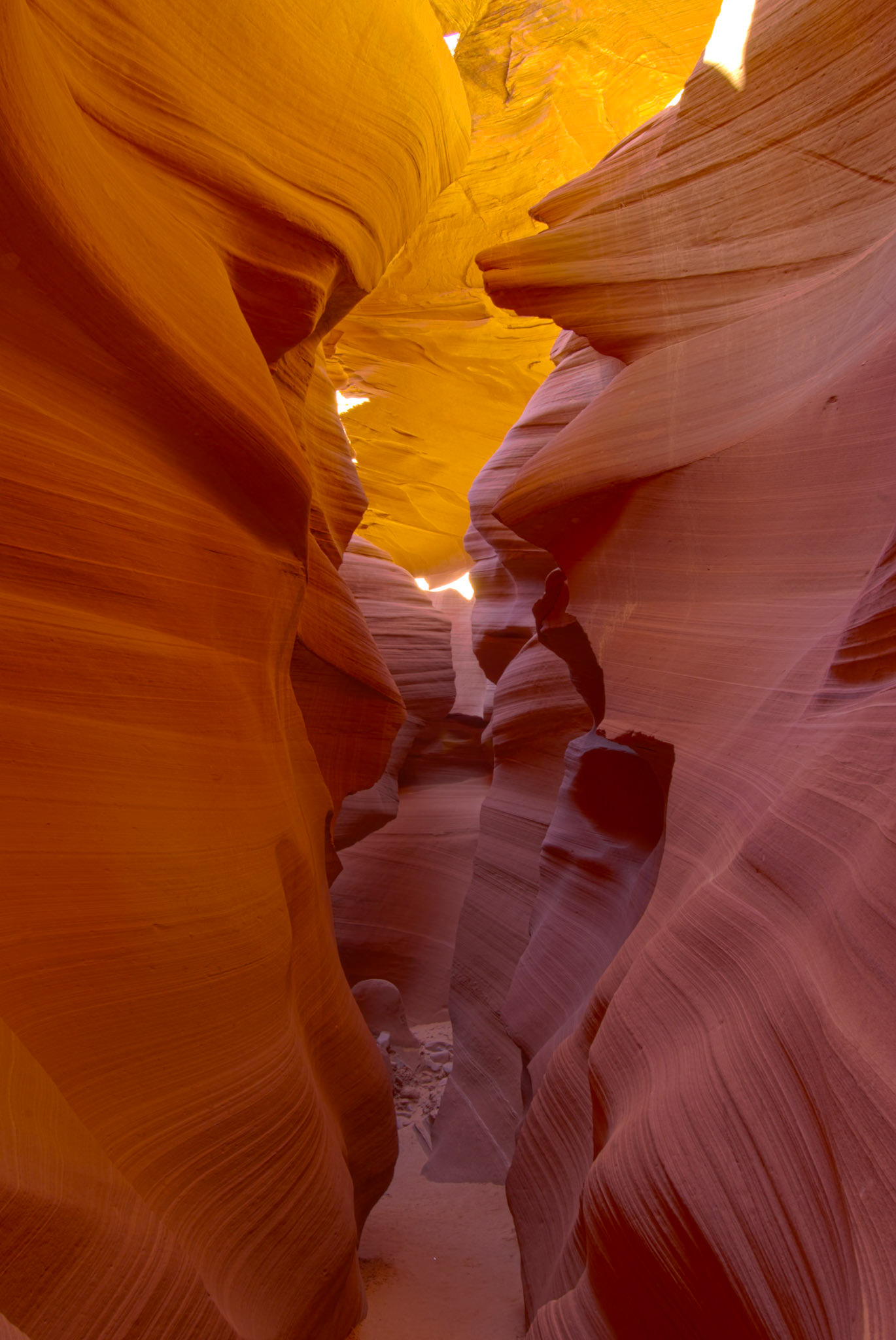 Golden Ceiling - Lower Antelope Canyon