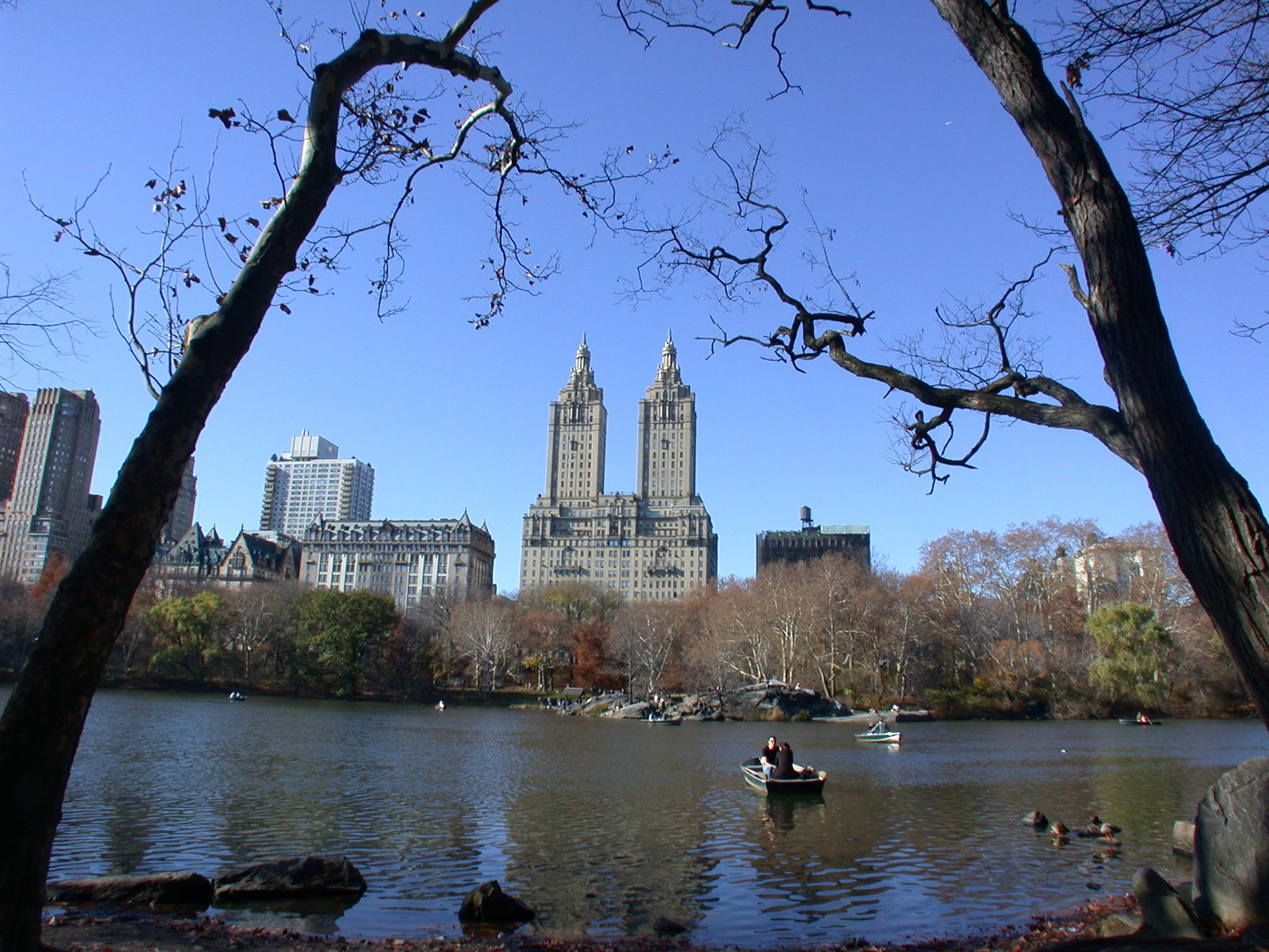 Central Park in New York City