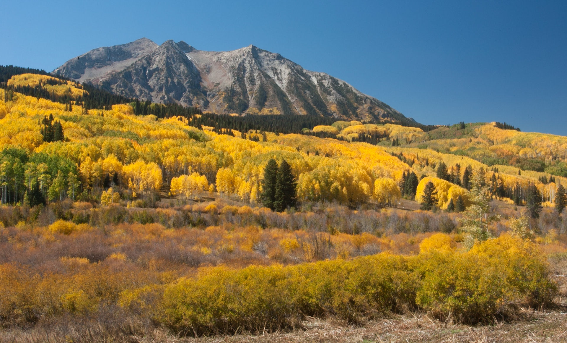 Near Crested Butte, CO
