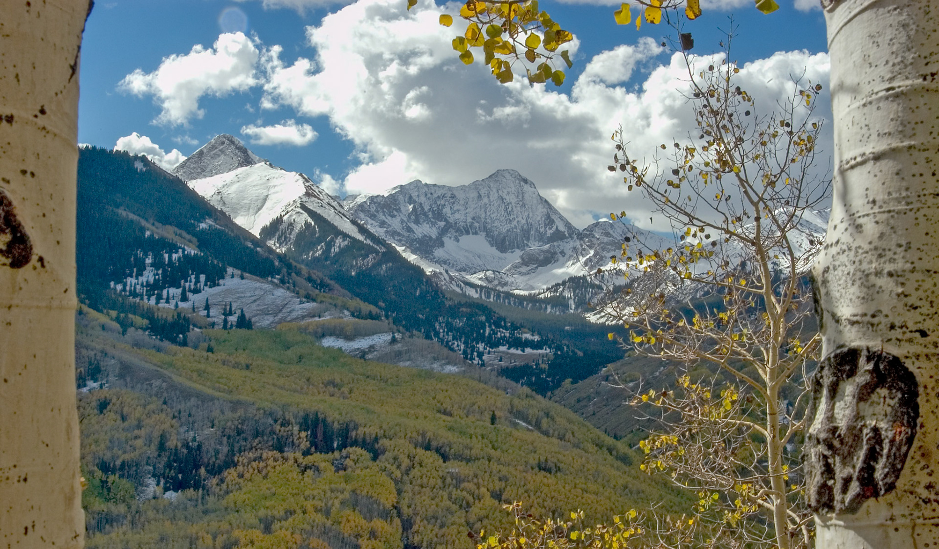 Fall colors in Capitol Creek basin.
