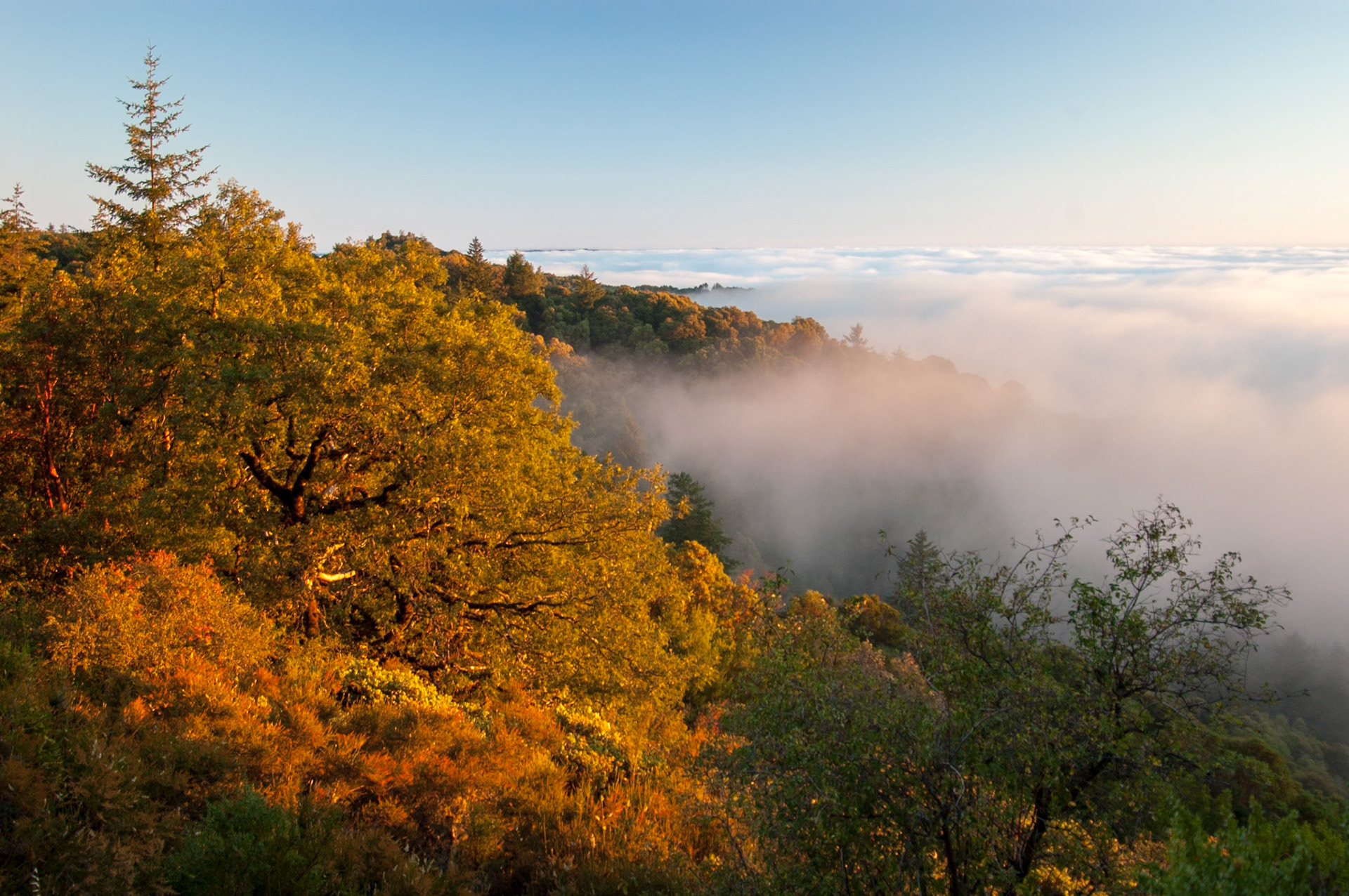 Above Santa Cruz