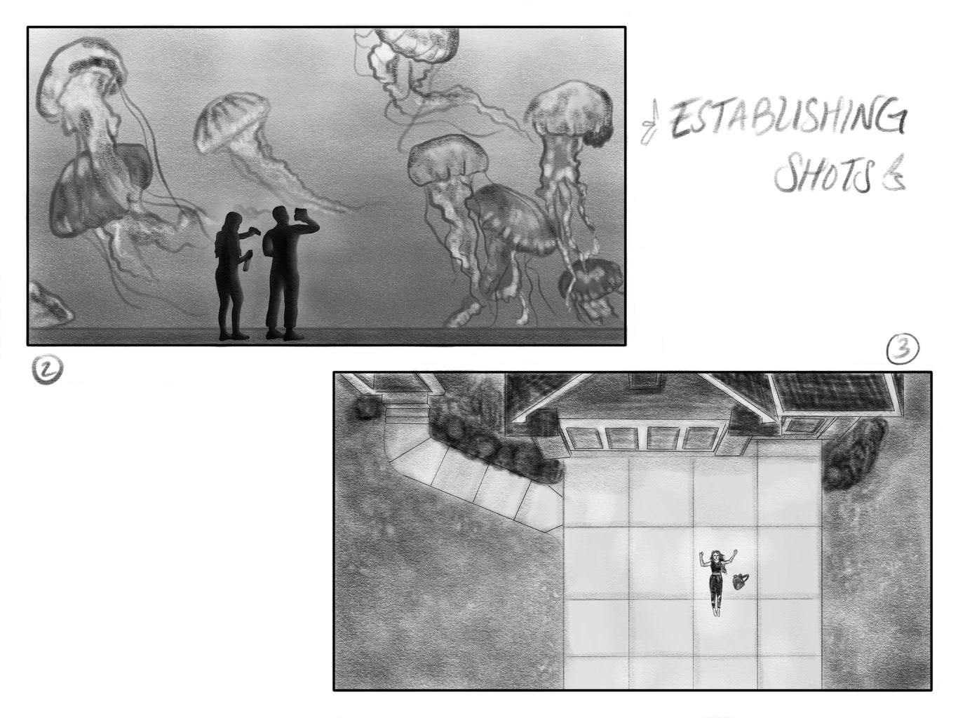 Piles by Malena Pennycook Establishing Shots