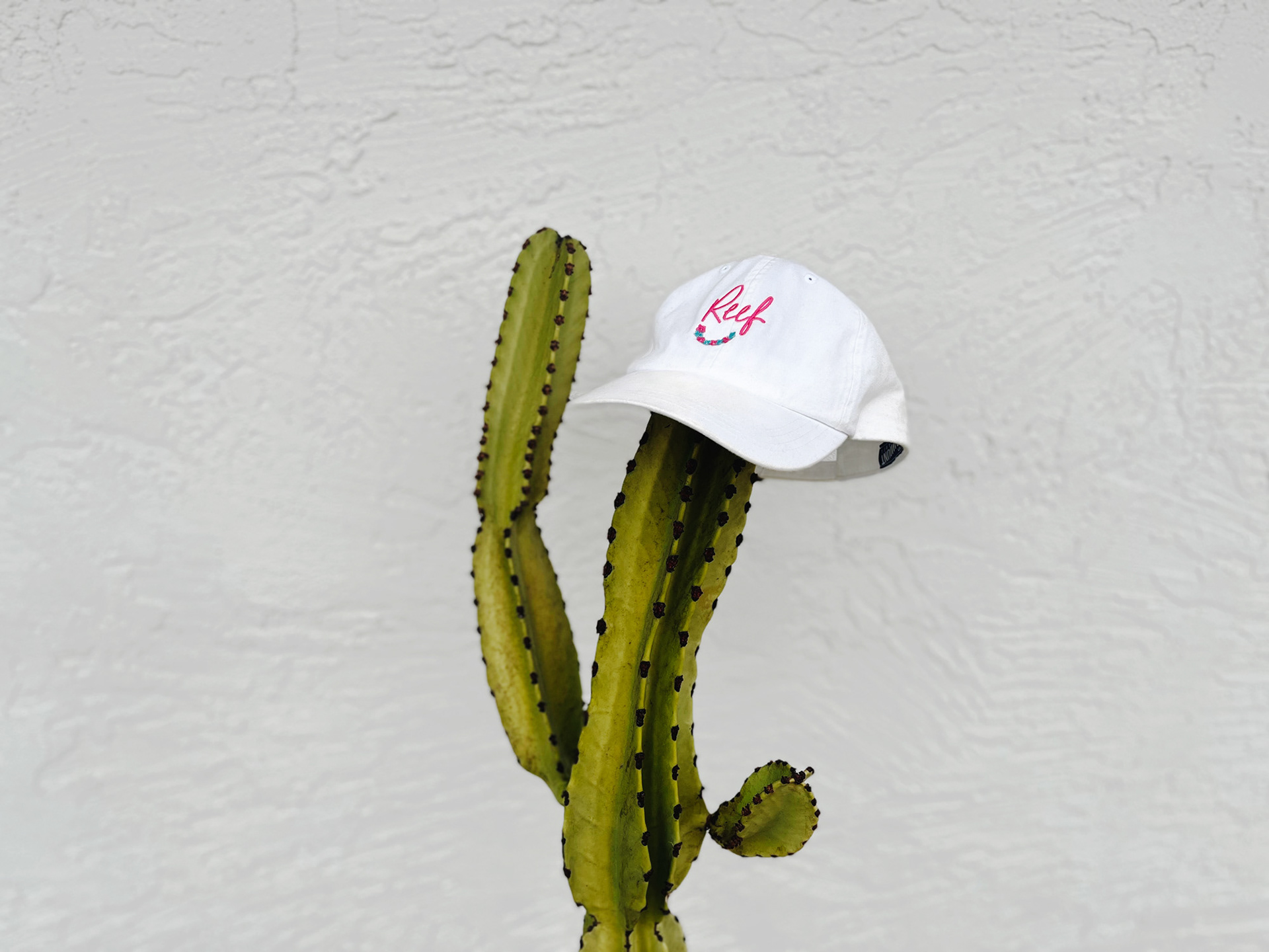 REEF, dad, hat, aloha, Hawaiian, promo, activation, surf, apparel, design