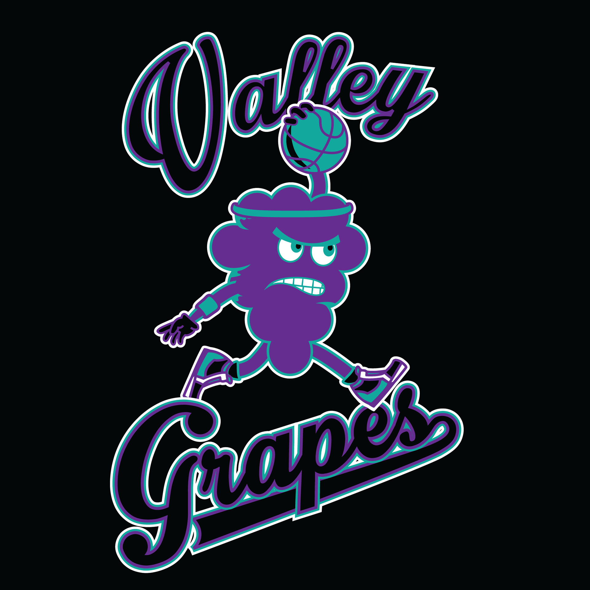 valley grapes youth basketball logo team design illustration temecula