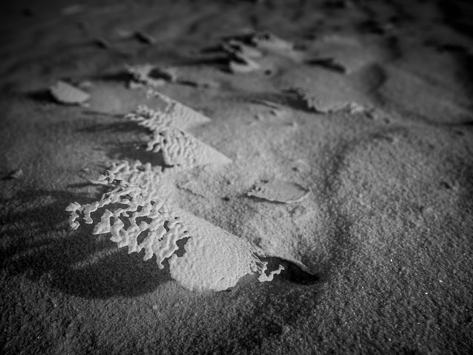 White Sands National Monument, New Mexico
