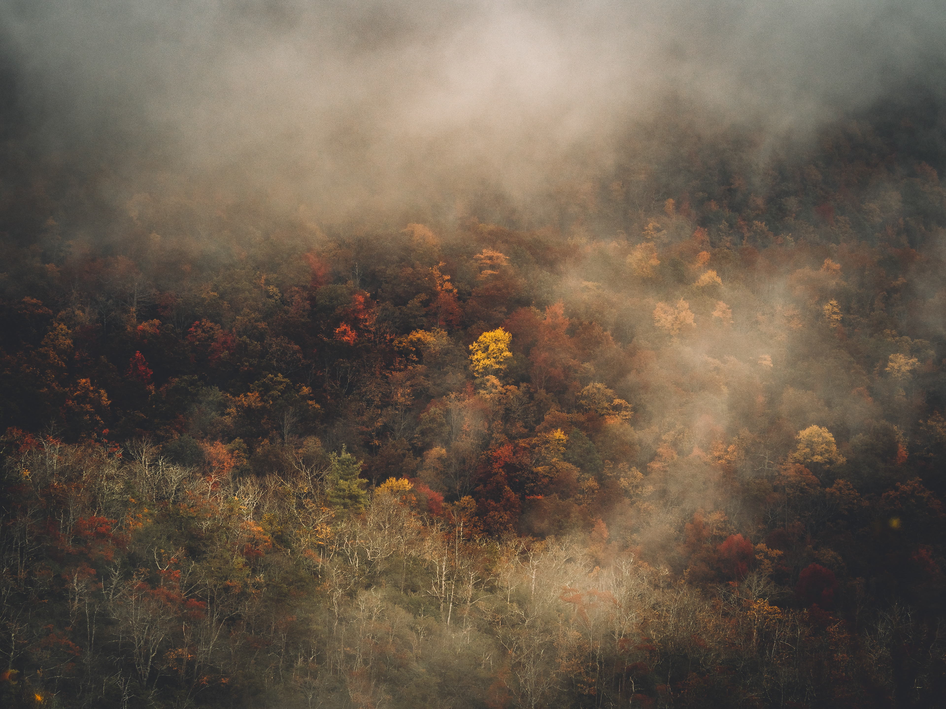 Brasstown Bald, Georgia