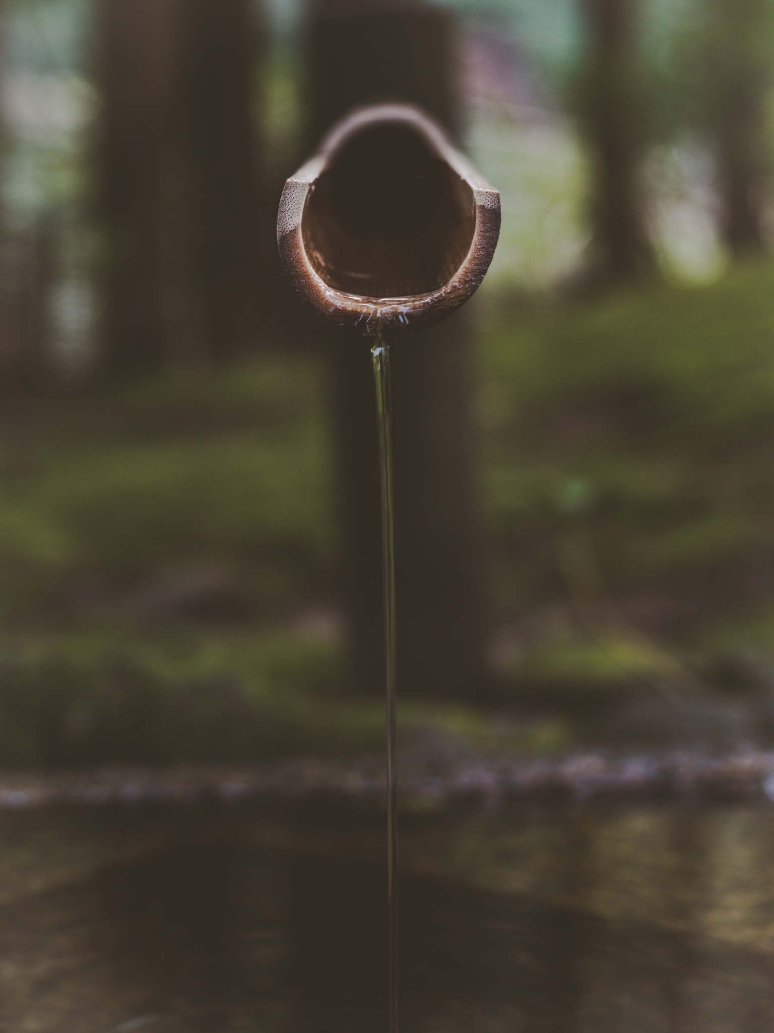 Japanese Fountain, Portland, Oregon