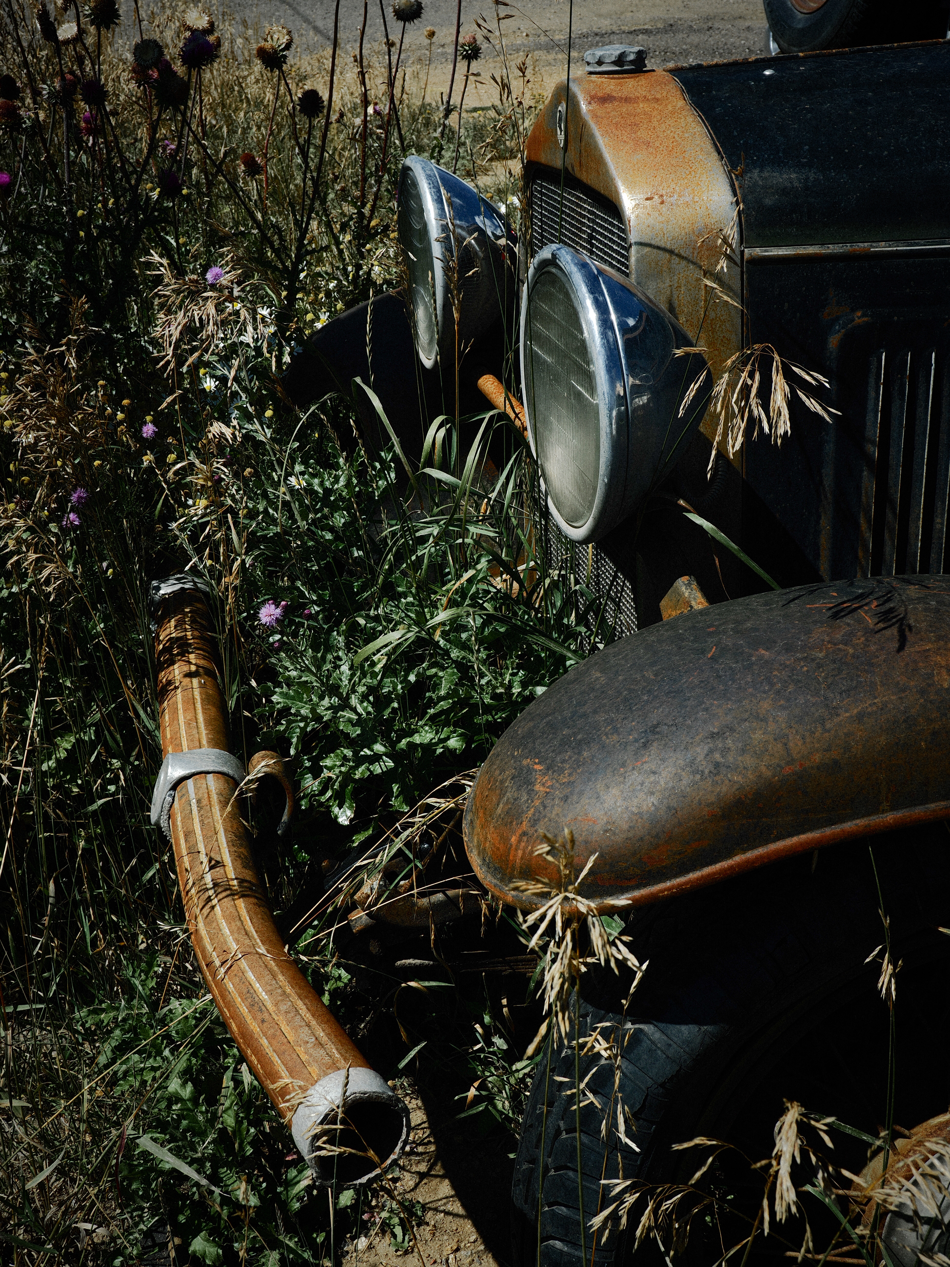 Rawlinsville, Colorado