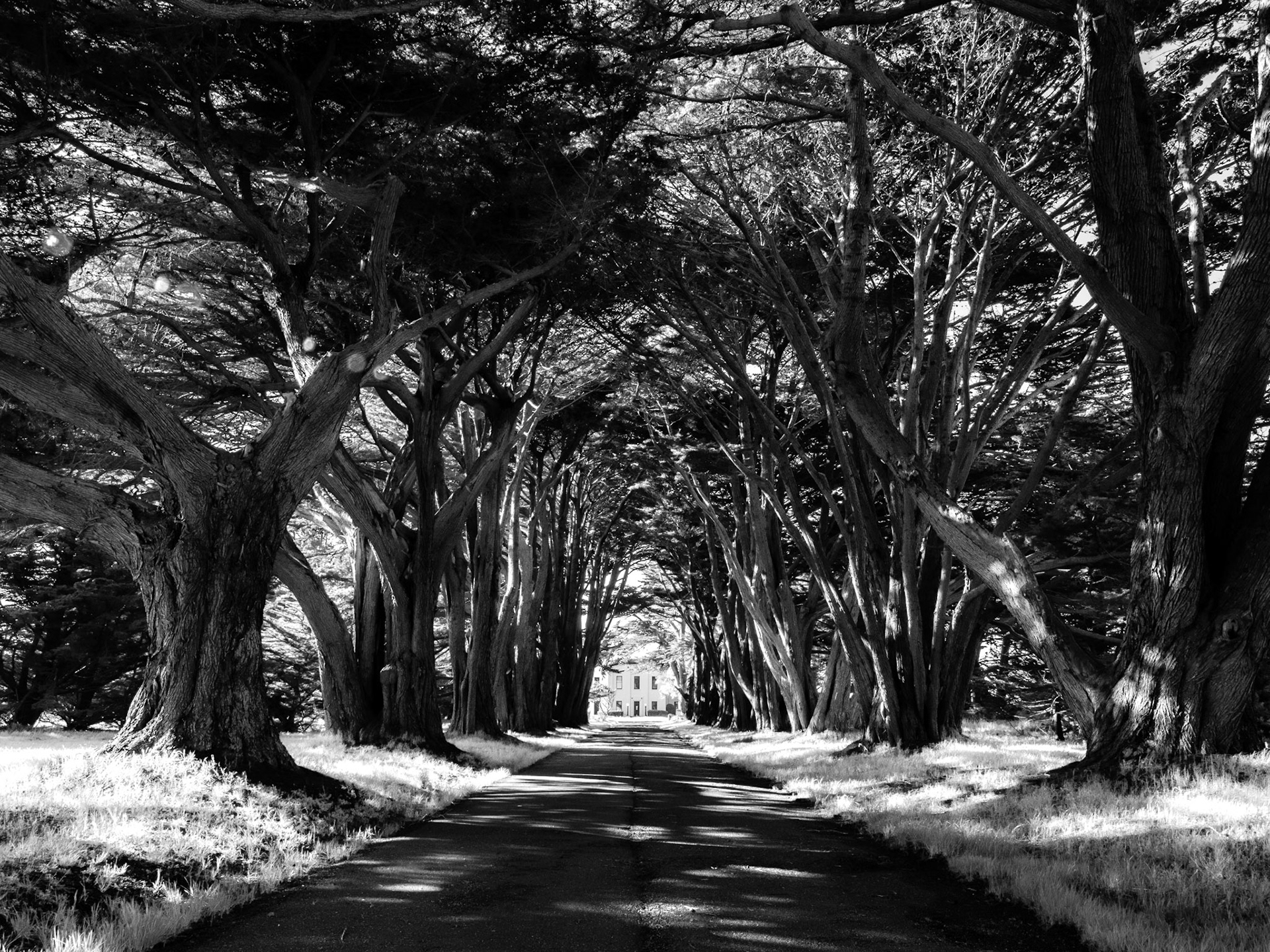 Reyes Point National Seashore, California