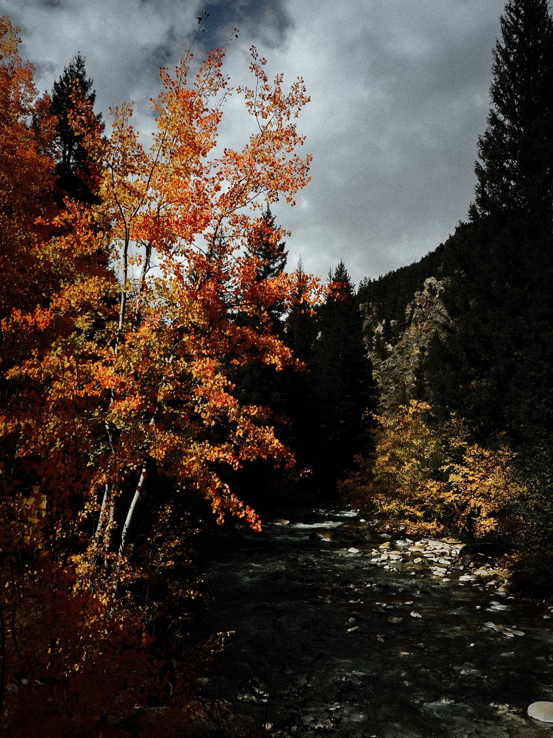 Guanella Pass, Colorado