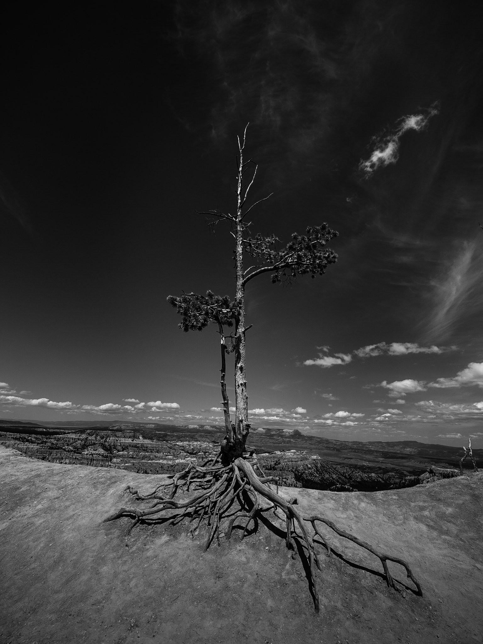 Bryce Canyon National Park, Utah