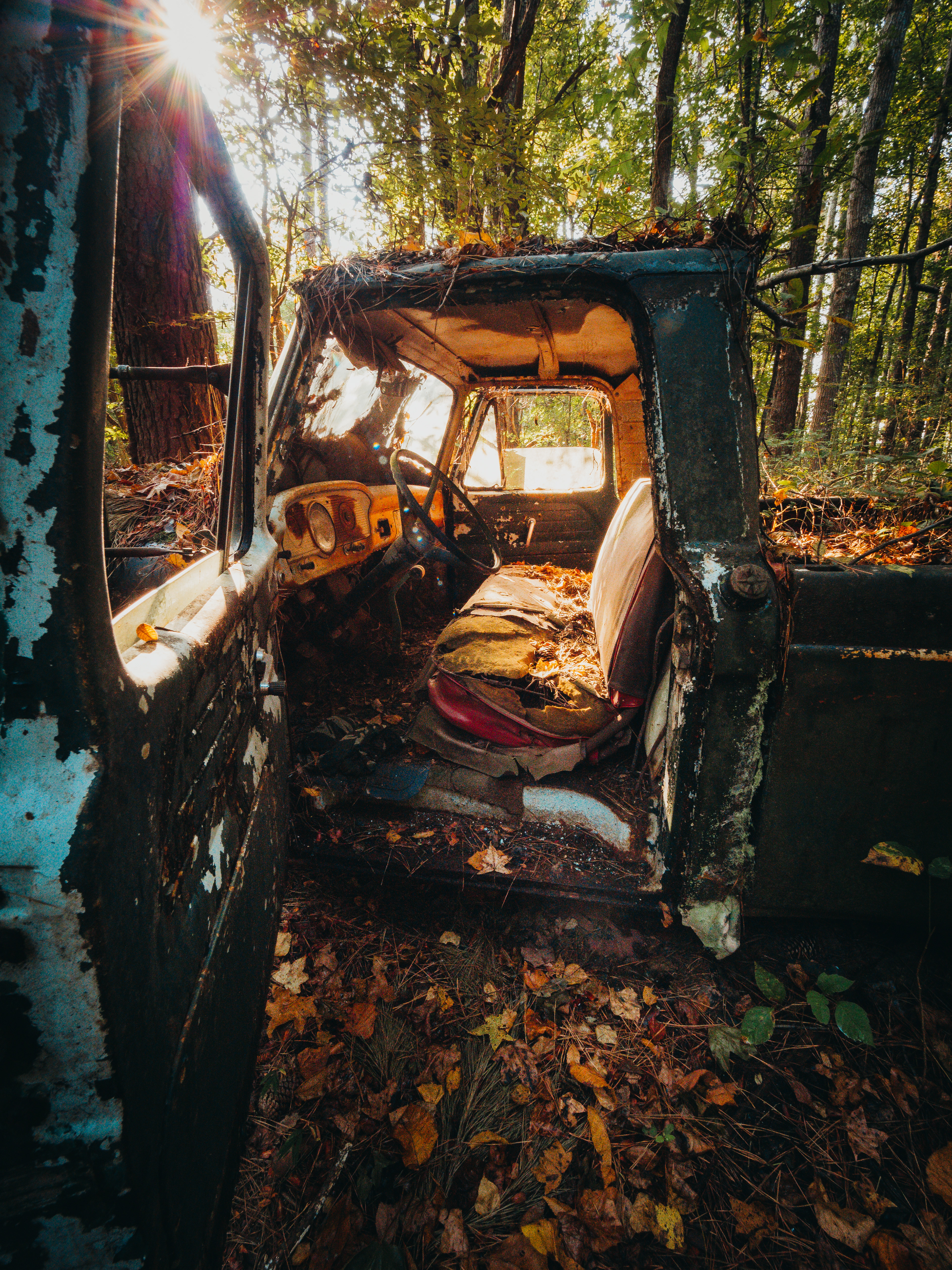 Old Car City, White, Georgia
