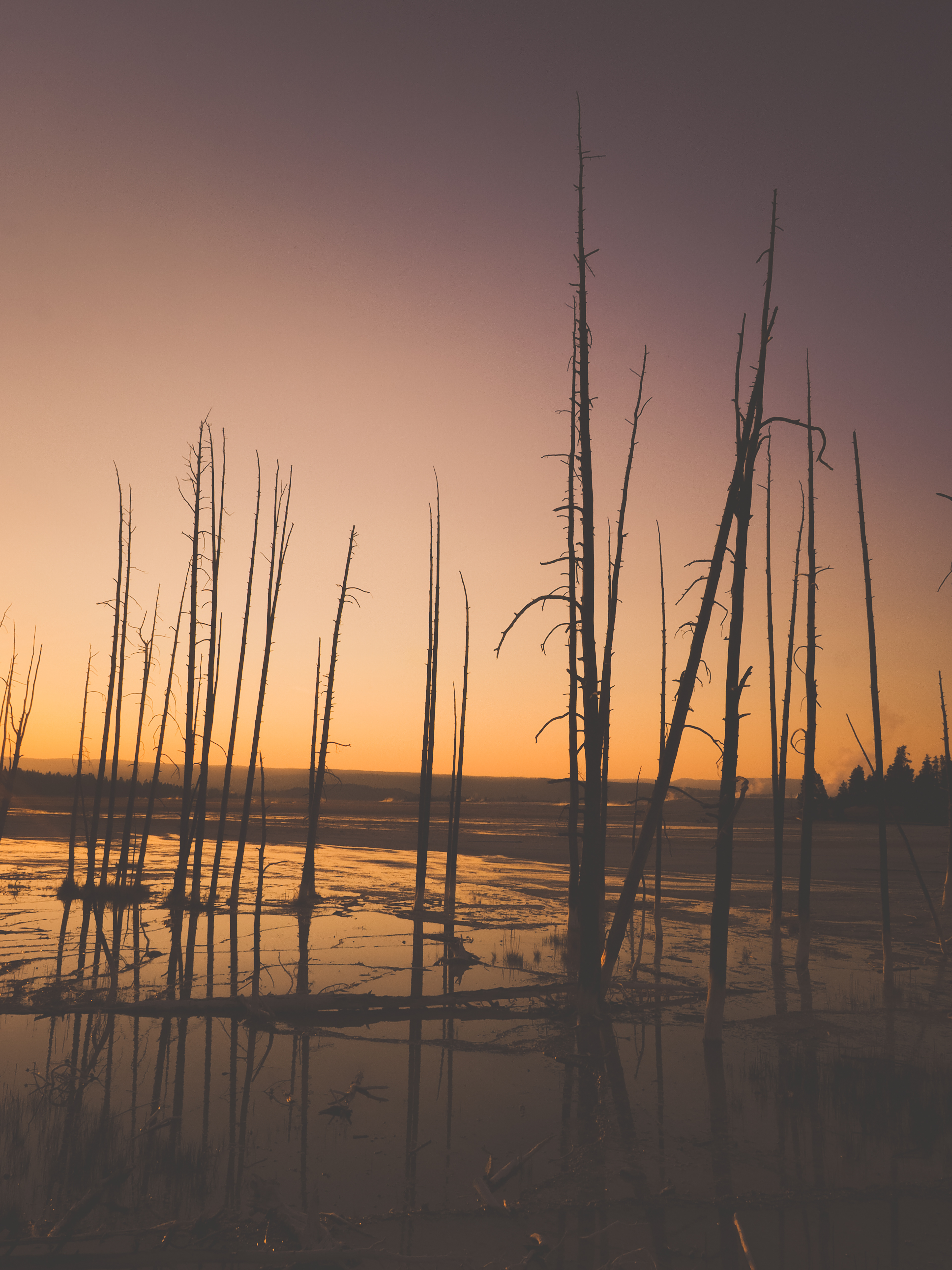 Yellowstone National Park