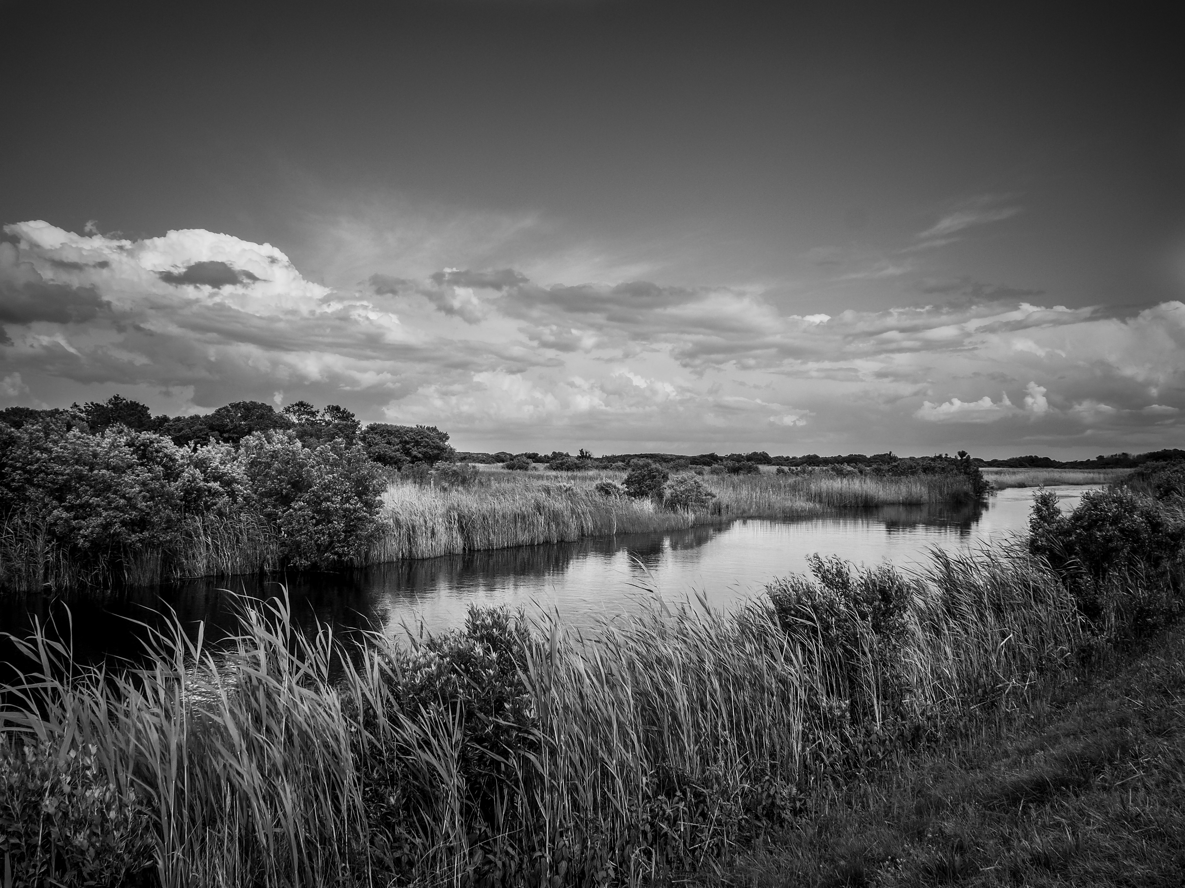 False Cape State Park, Virginia Beach, Virginia