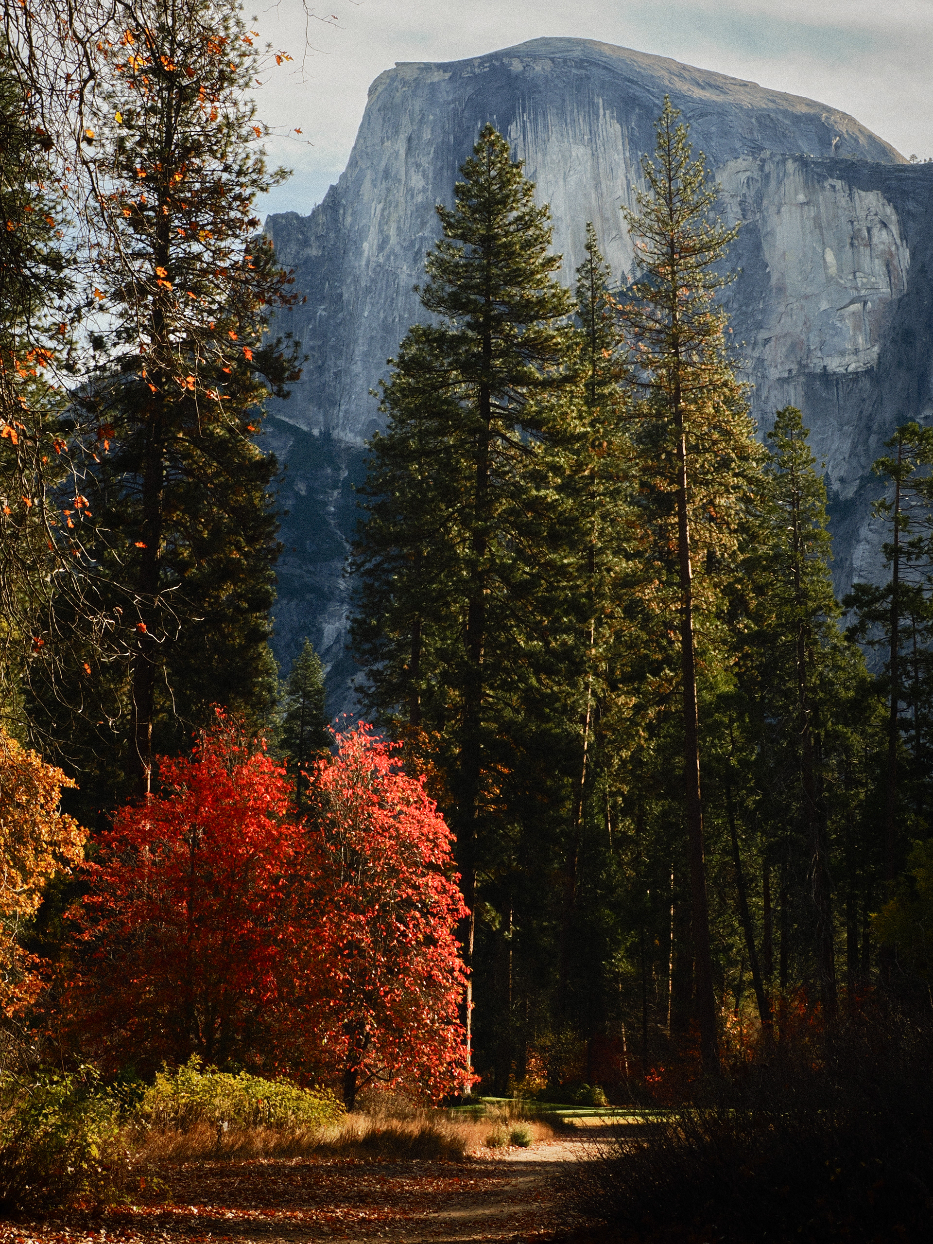 Yosemite National Park, California