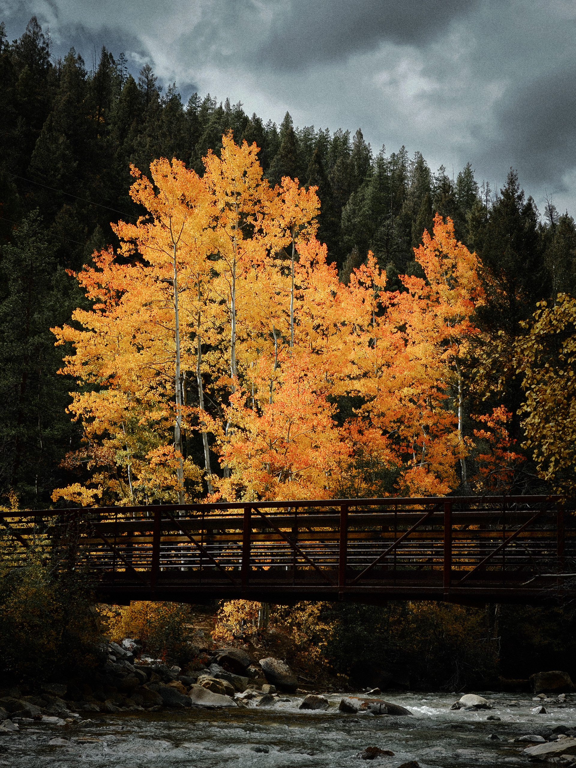 Guanella Pass, Colorado