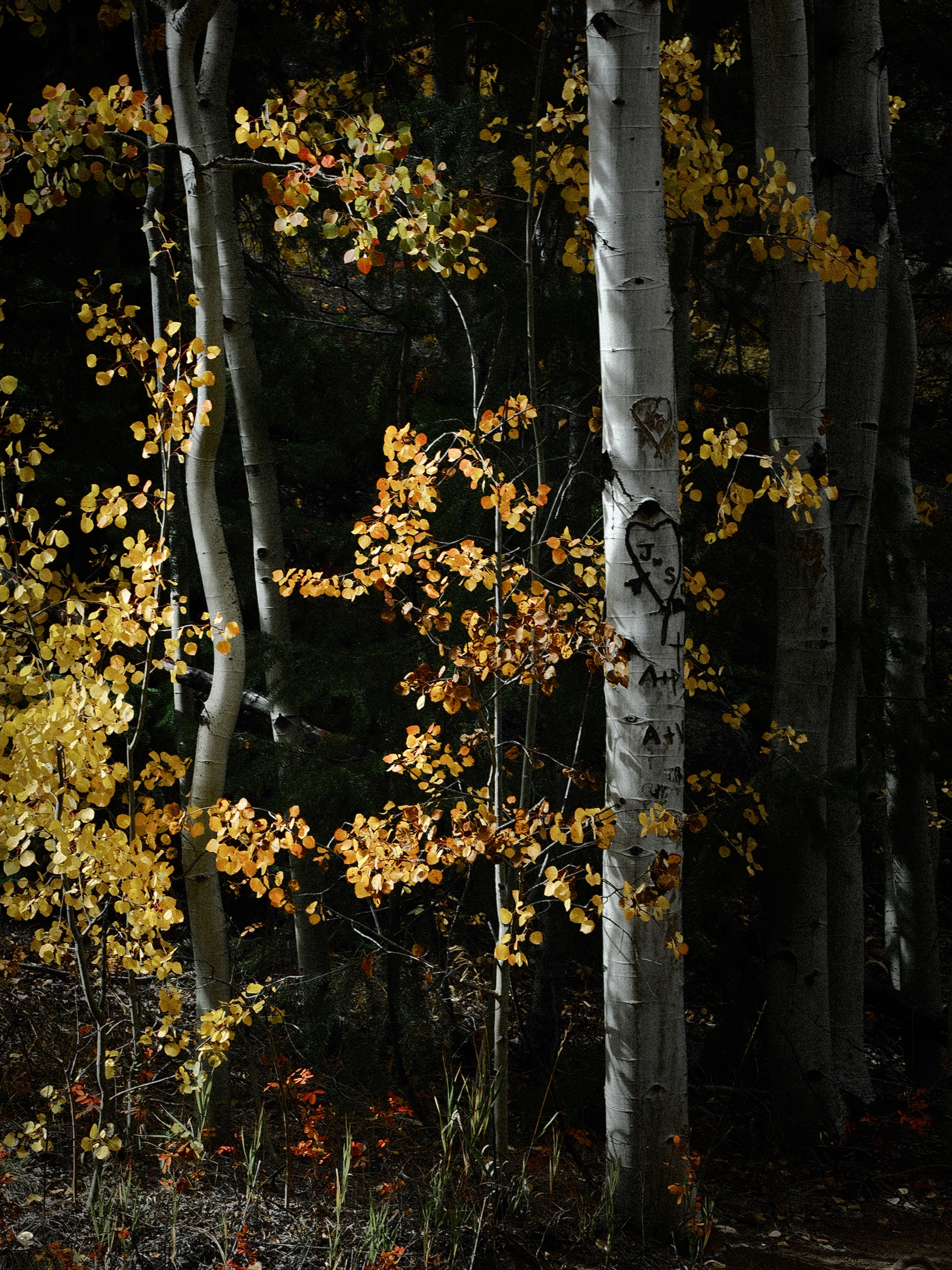 Guanella Pass, Colorado