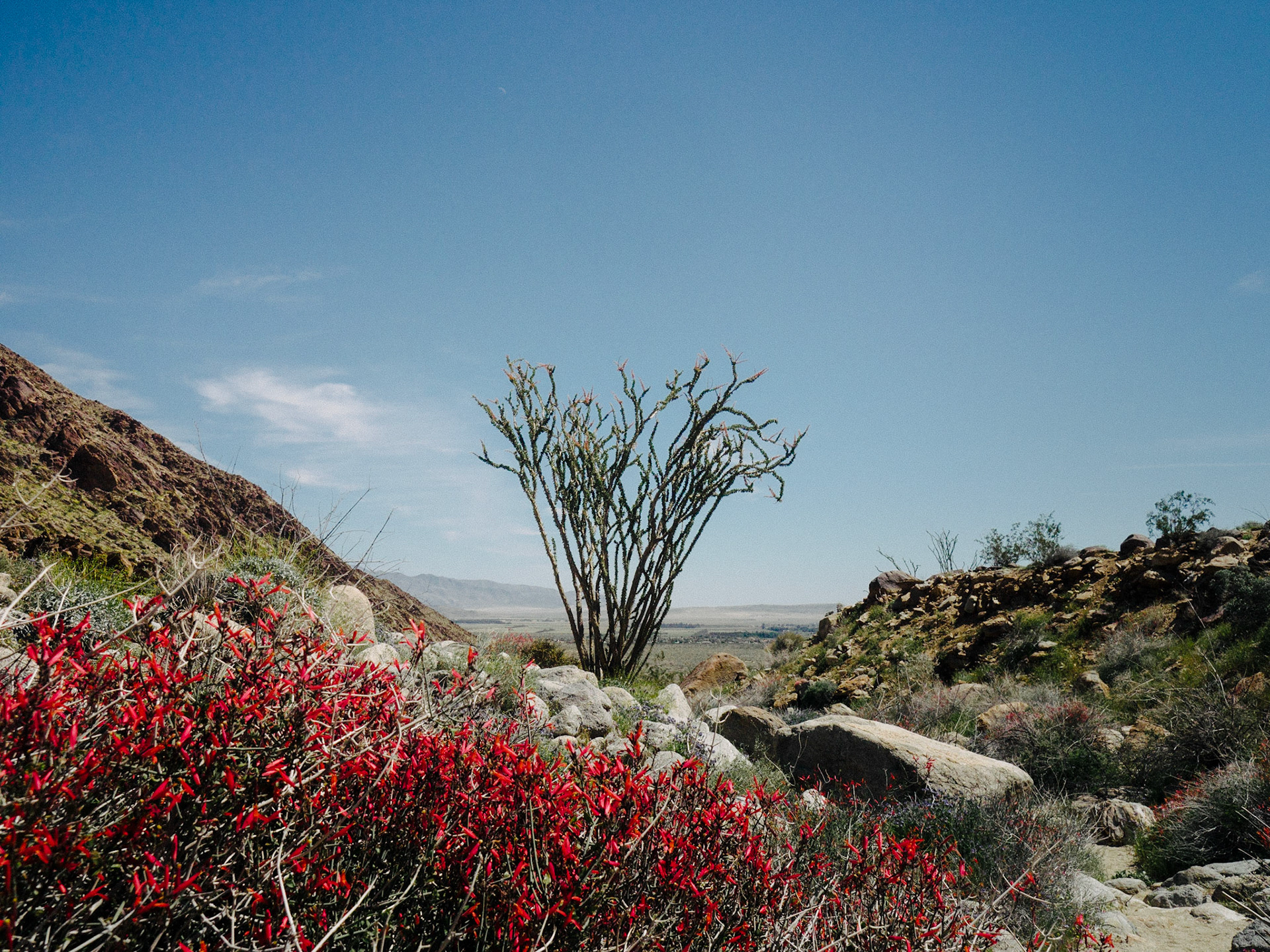 Anza Borrego State Park, California