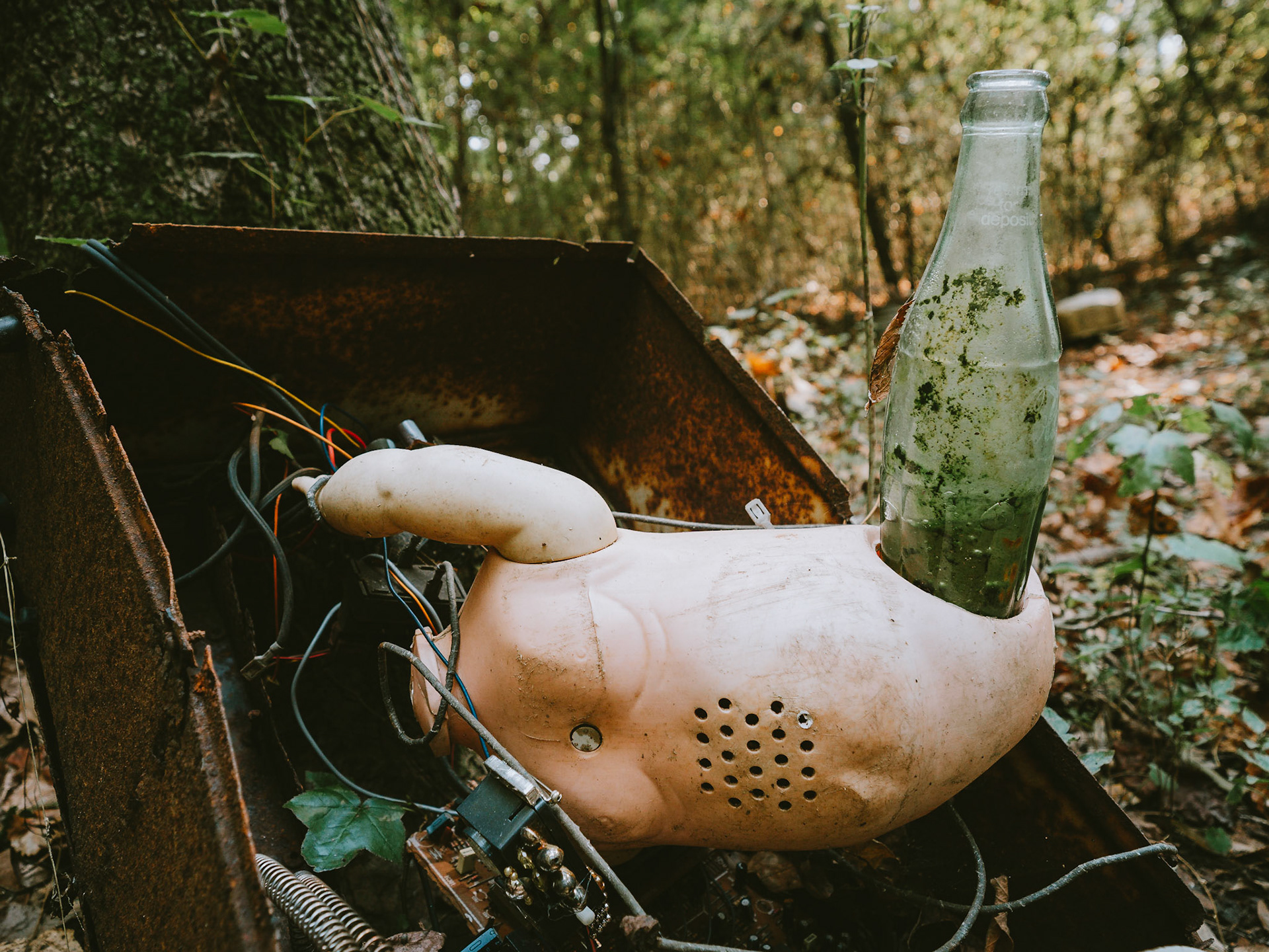 Dolls Head Trail, Atlanta, Georgia