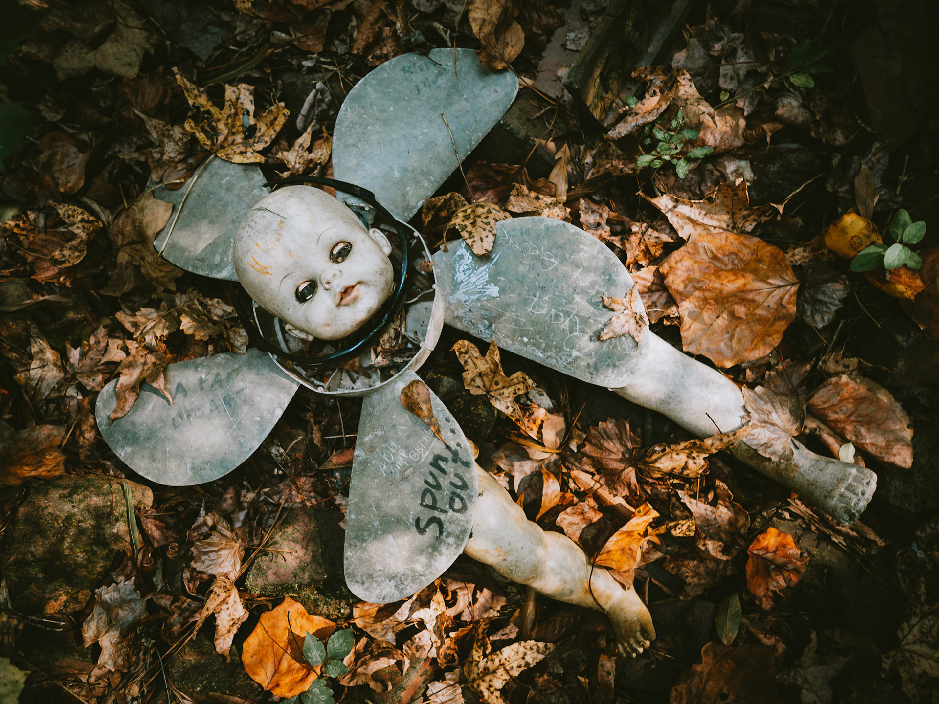 Dolls Head Trail, Atlanta, Georgia