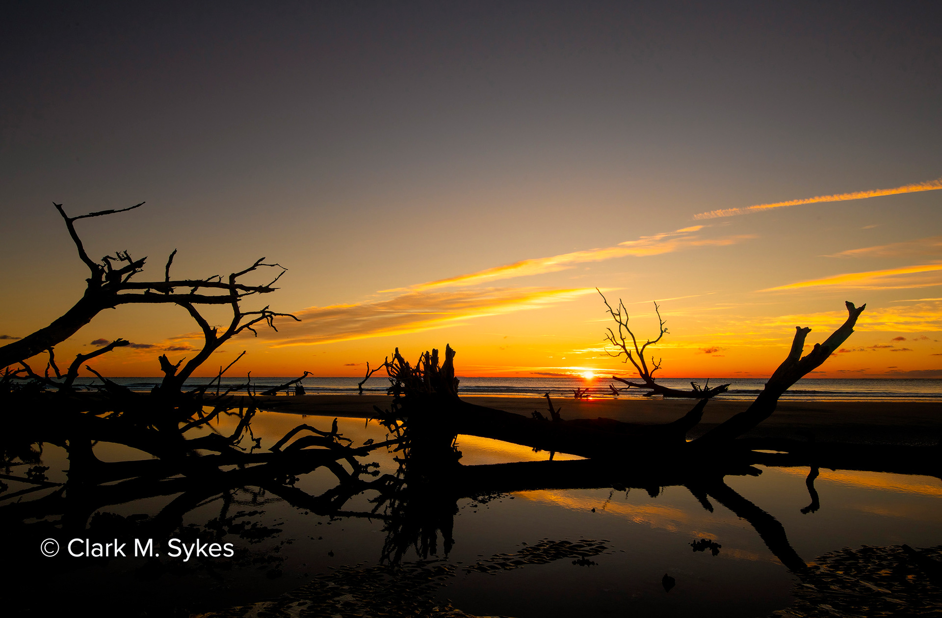 Boneyard beach sunrise, Little Hunting Island, South Carolina (Image LC-31)