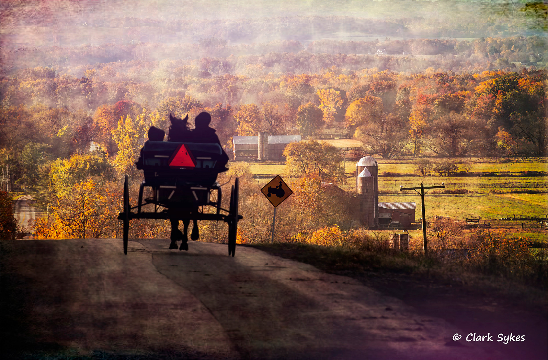 Amish family, Conewango Valley, New York (Image GL-35)