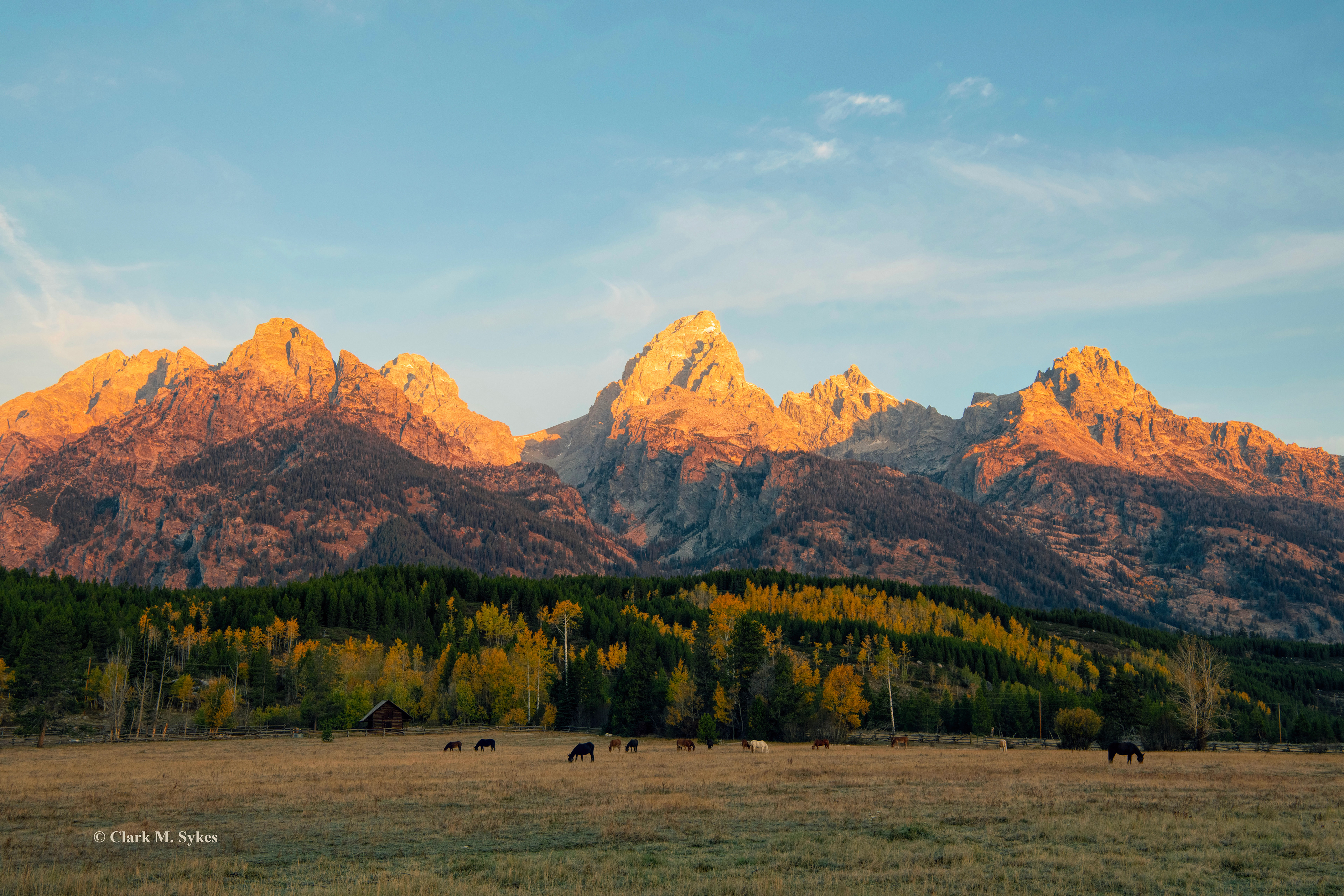 Early one morning, I found this wonderful NPS ranch just south of Jenny Lake, in the Tetons, and had to stop to watch the horses, and of course take some photos. It's a beautiful lump of land along Cottonwood Creek, nestled beneath the majestic Teton peaks.