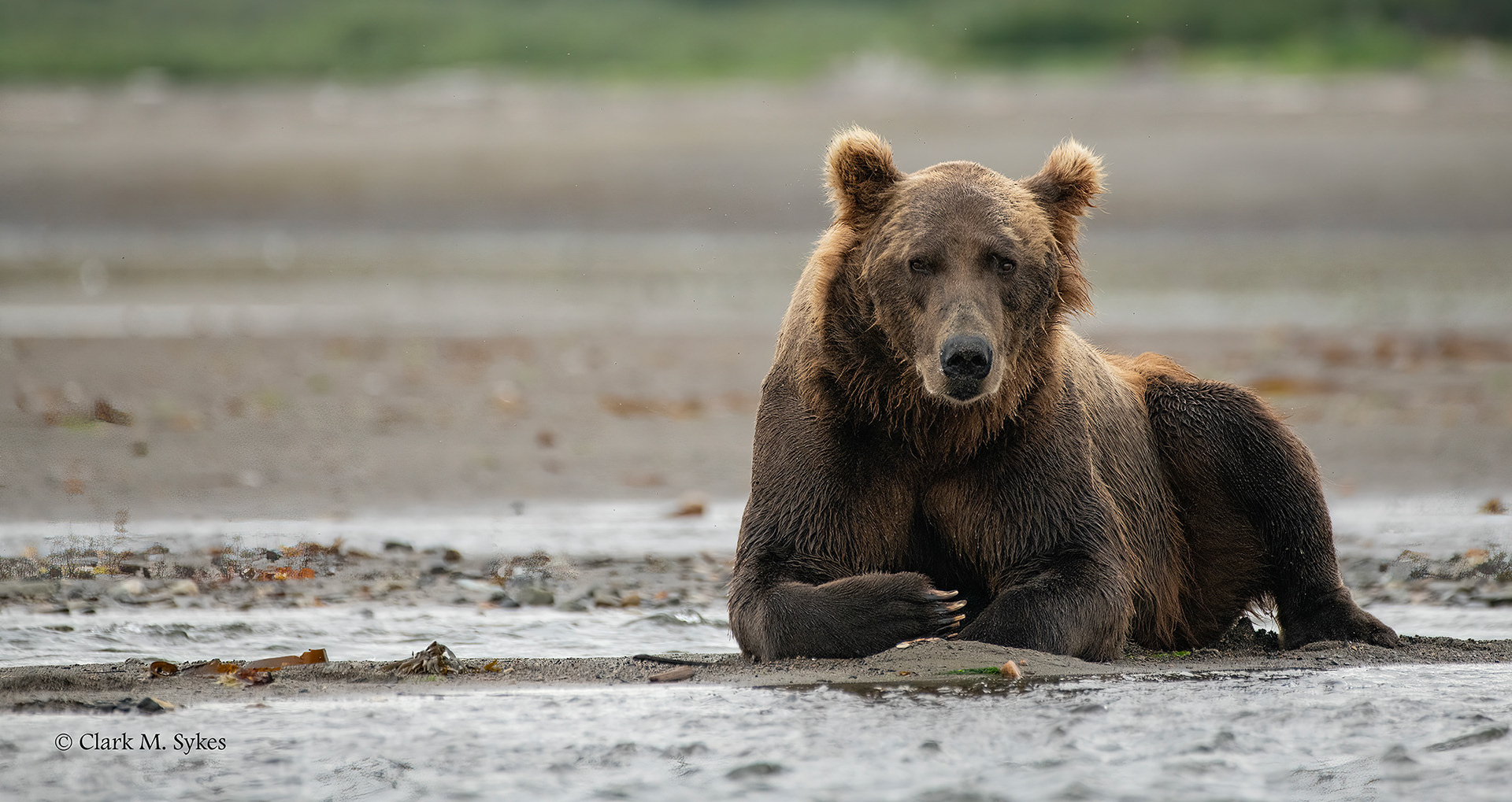 This is MY beach! Katmai, Alaska (Image AK-18)